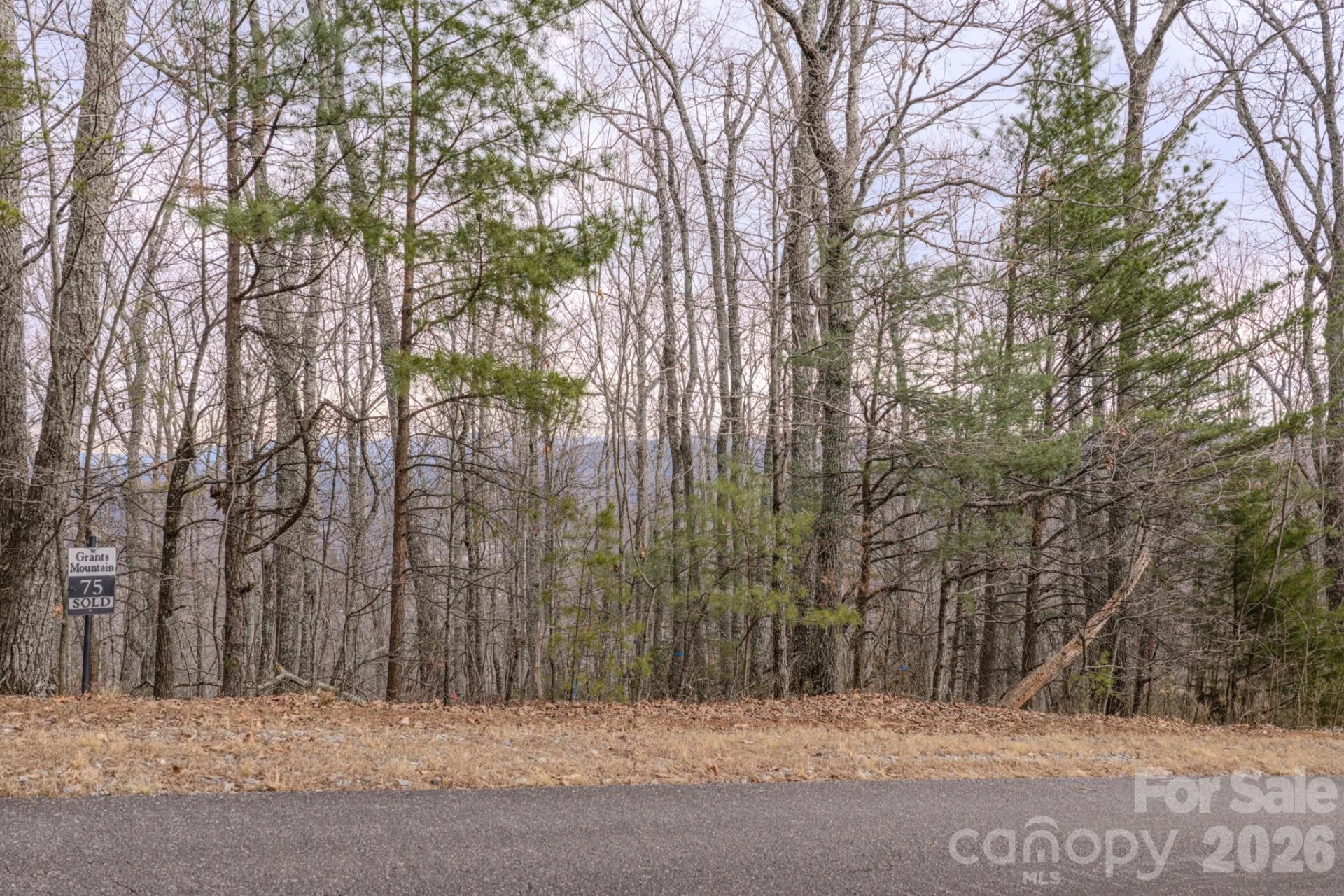 2724 Mountain Crest Drive S #75 - Photo 23