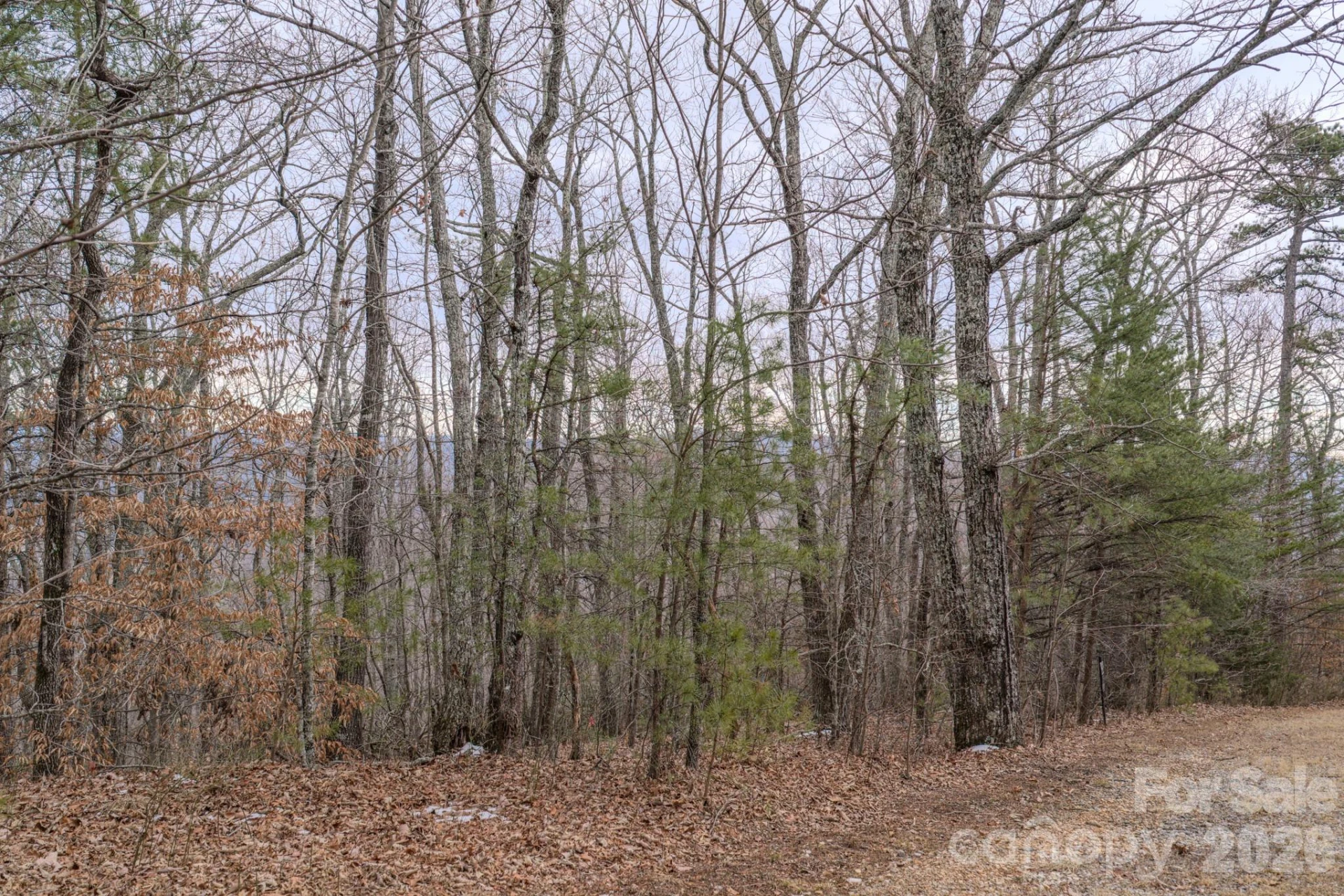 2724 Mountain Crest Drive S #75 - Photo 27