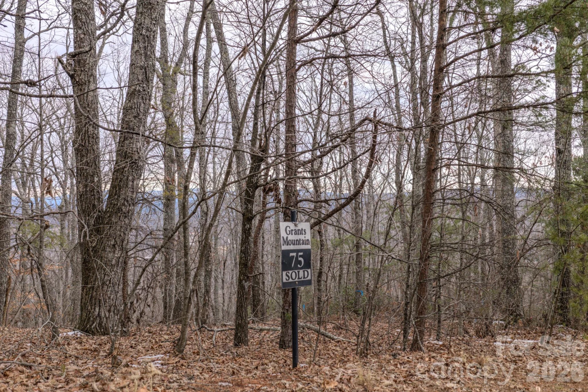 2724 Mountain Crest Drive S #75 - Photo 28