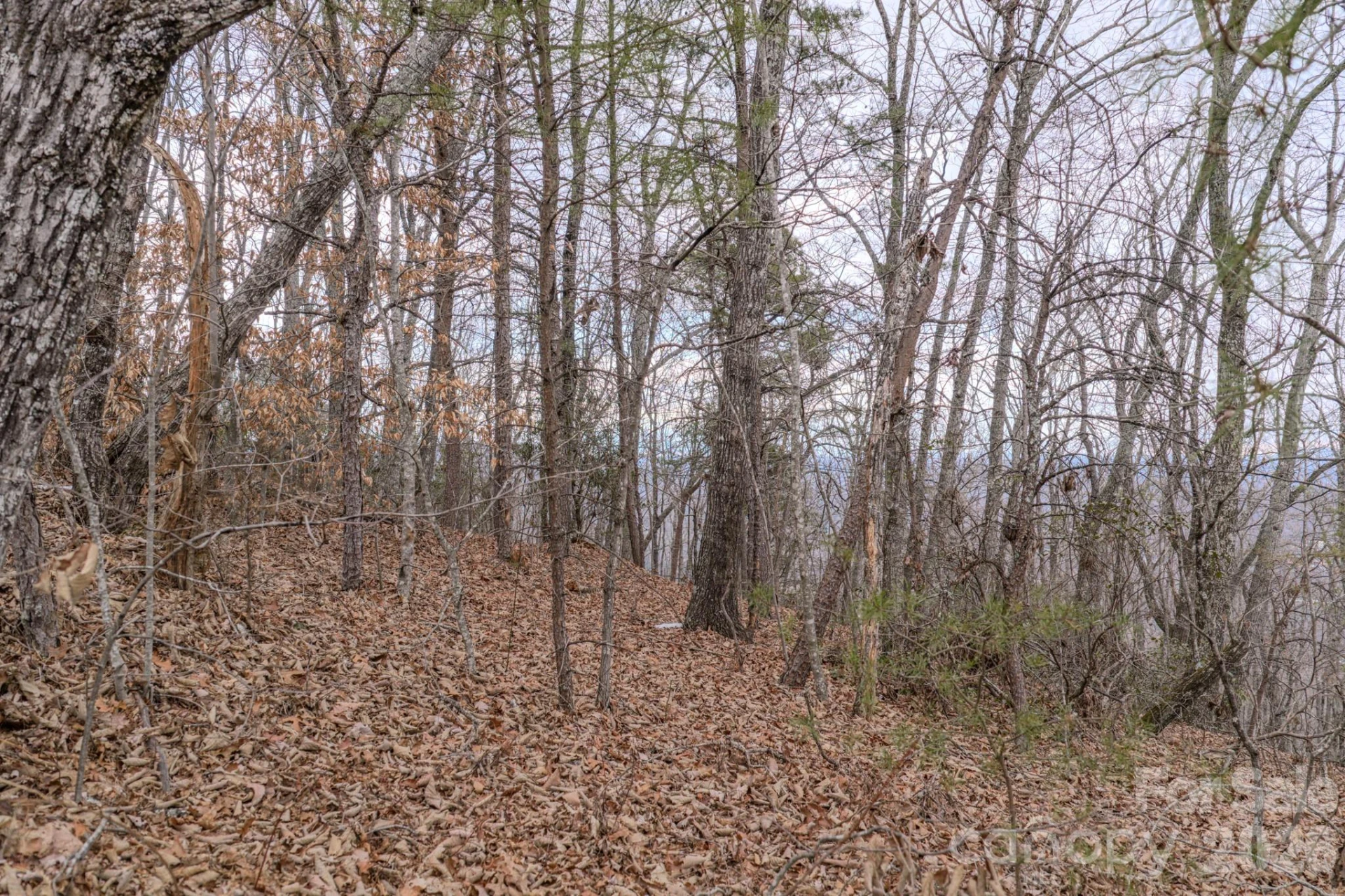 2724 Mountain Crest Drive S #75 - Photo 30