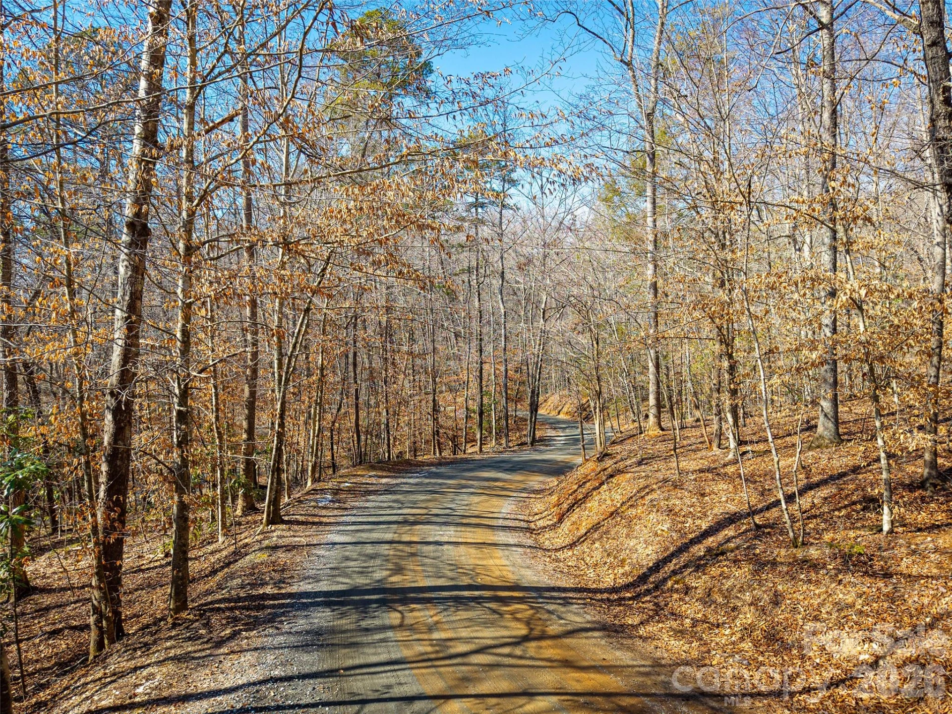 TBD Rondo Ridge Road - Photo 11
