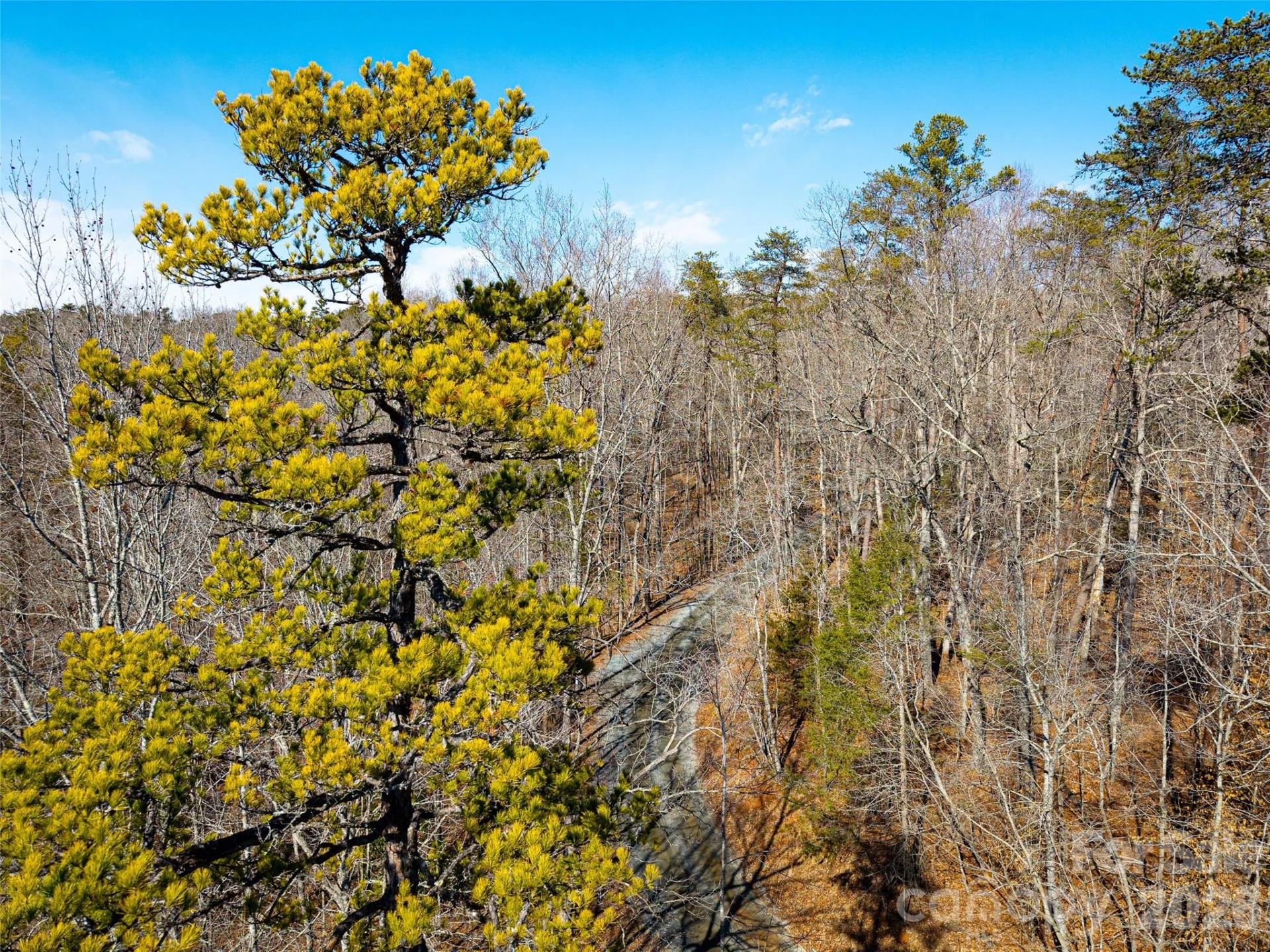 TBD Rondo Ridge Road - Photo 8