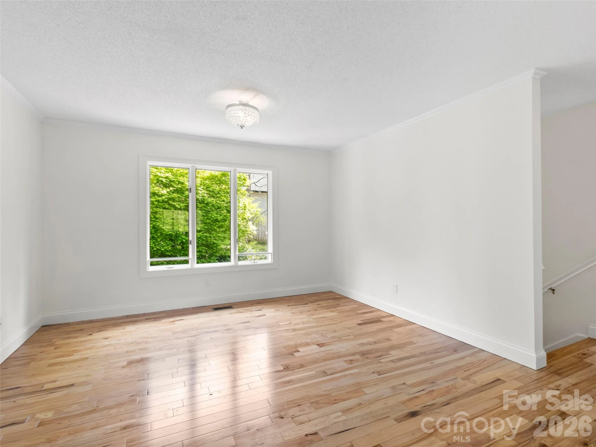 2731 Miller Lane - Photo 12