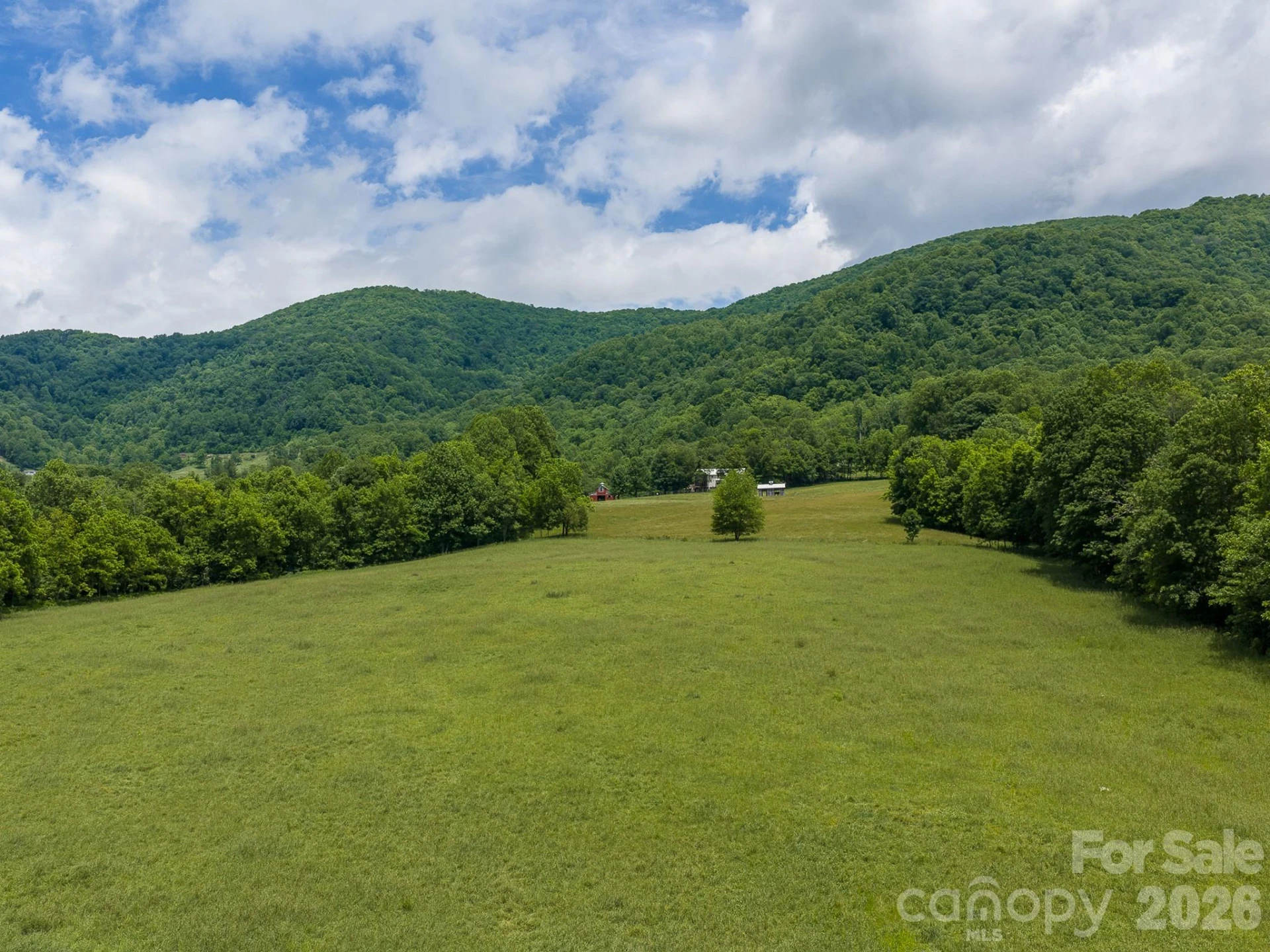 00 Sallys Branch Road - Photo 2
