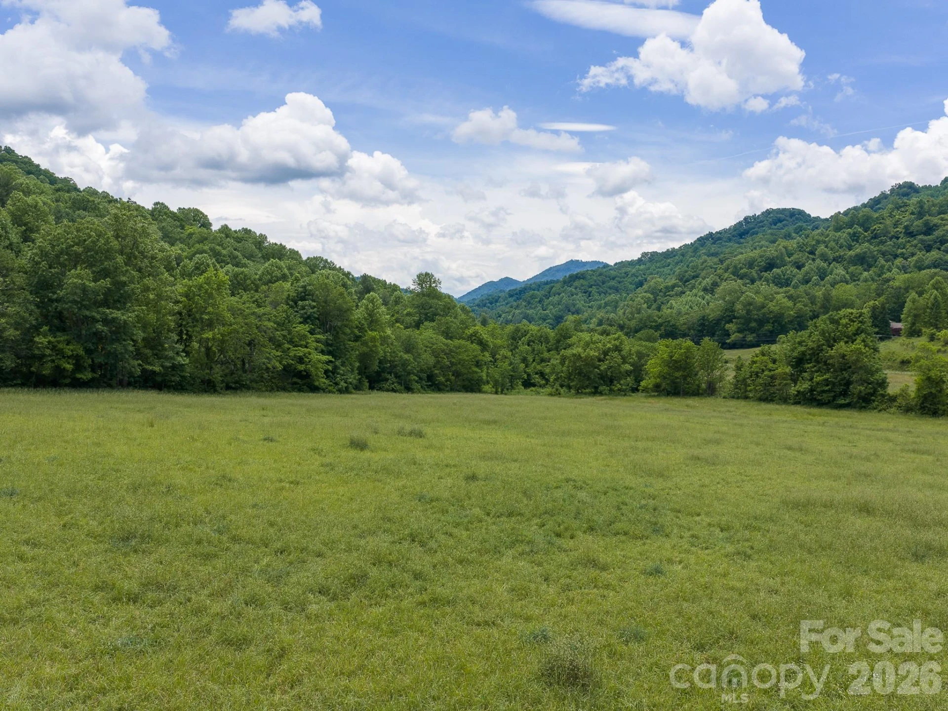 00 Sallys Branch Road - Photo 16