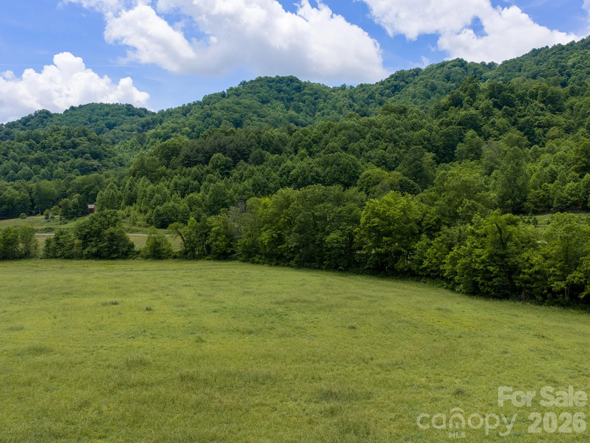 00 Sallys Branch Road - Photo 17