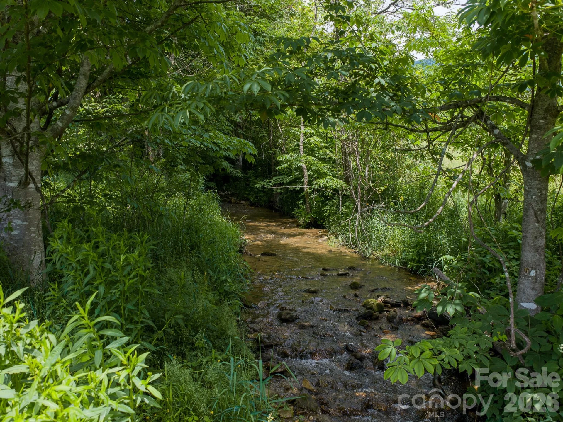00 Sallys Branch Road - Photo 19