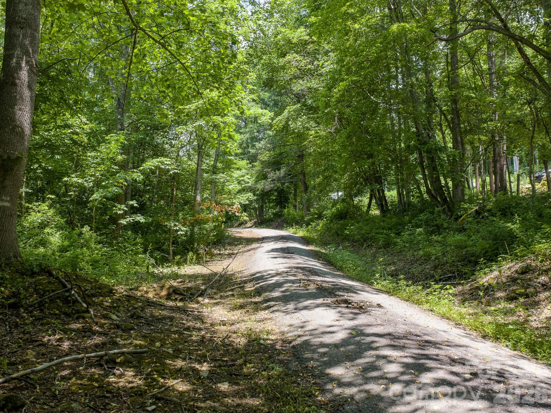 00 Sallys Branch Road - Photo 21