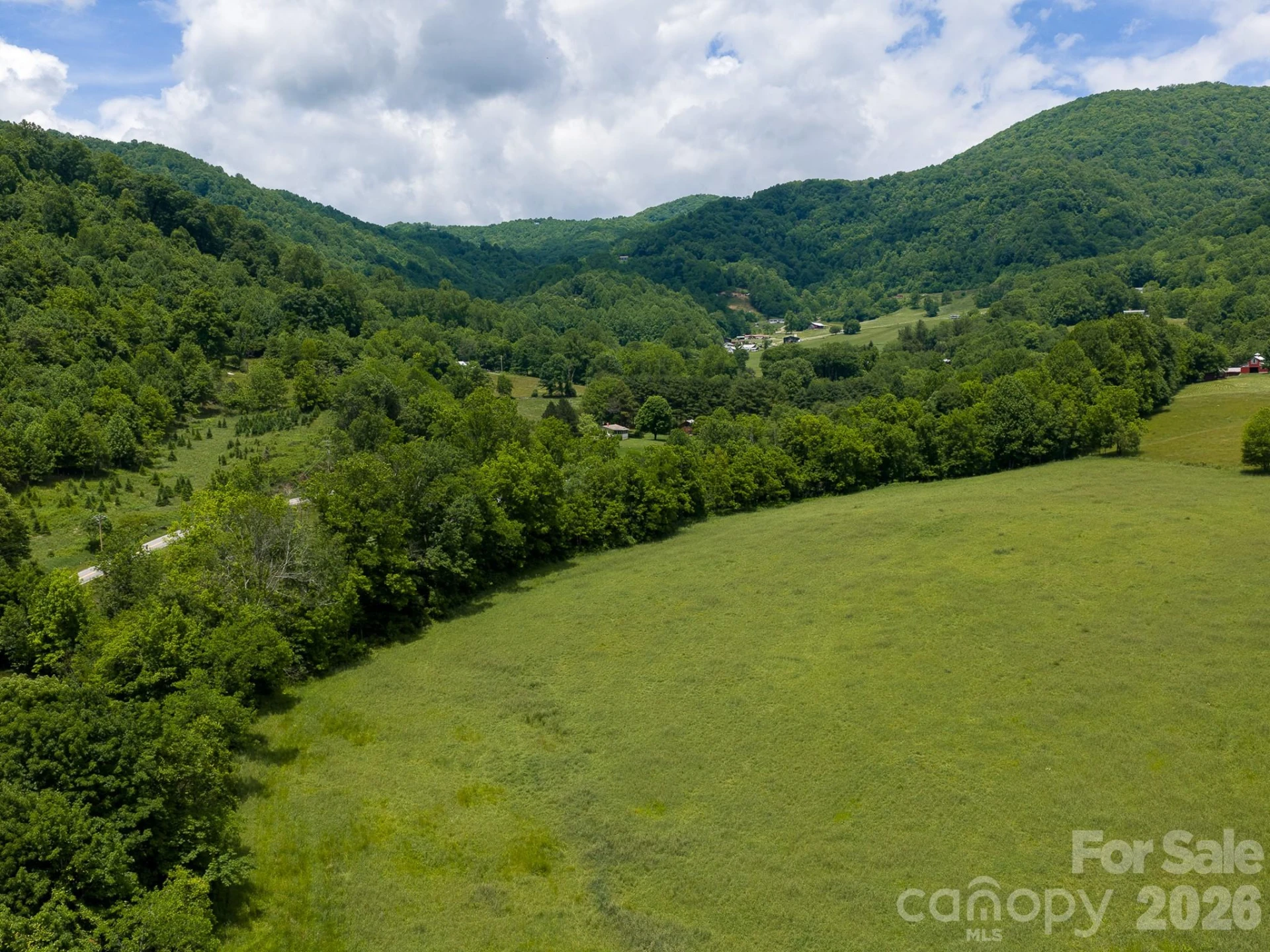 00 Sallys Branch Road - Photo 4
