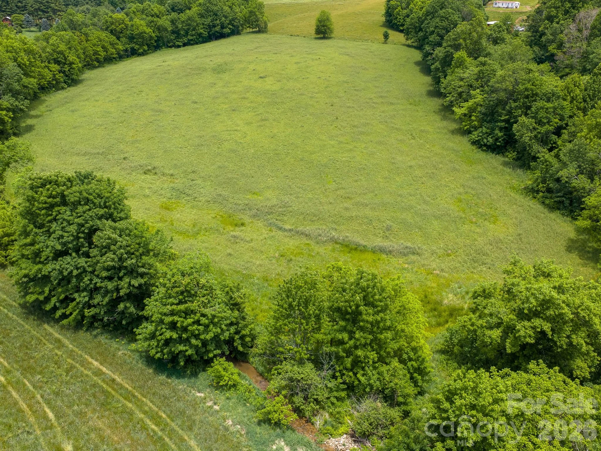 00 Sallys Branch Road - Photo 9