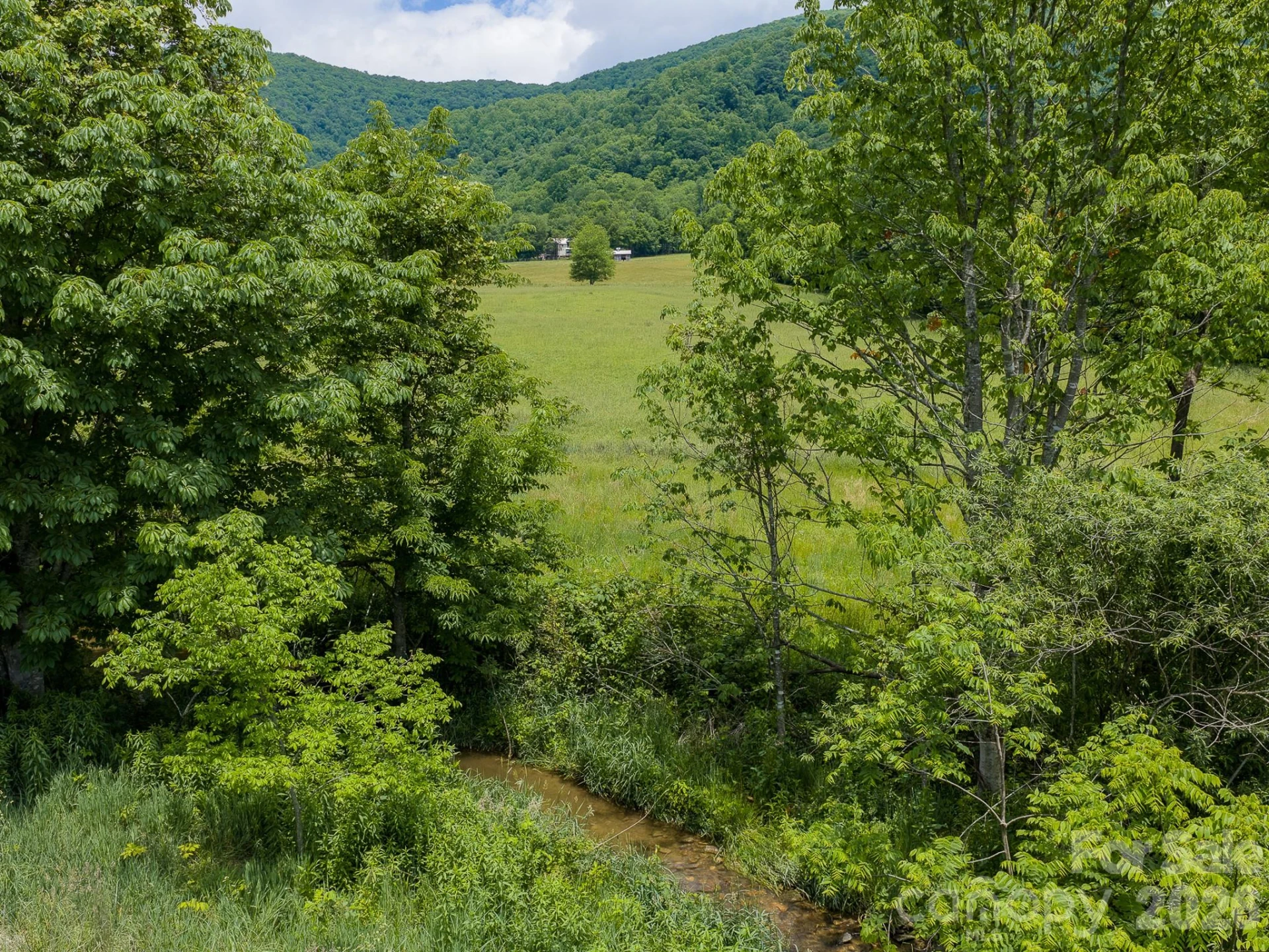 00 Sallys Branch Road - Photo 10