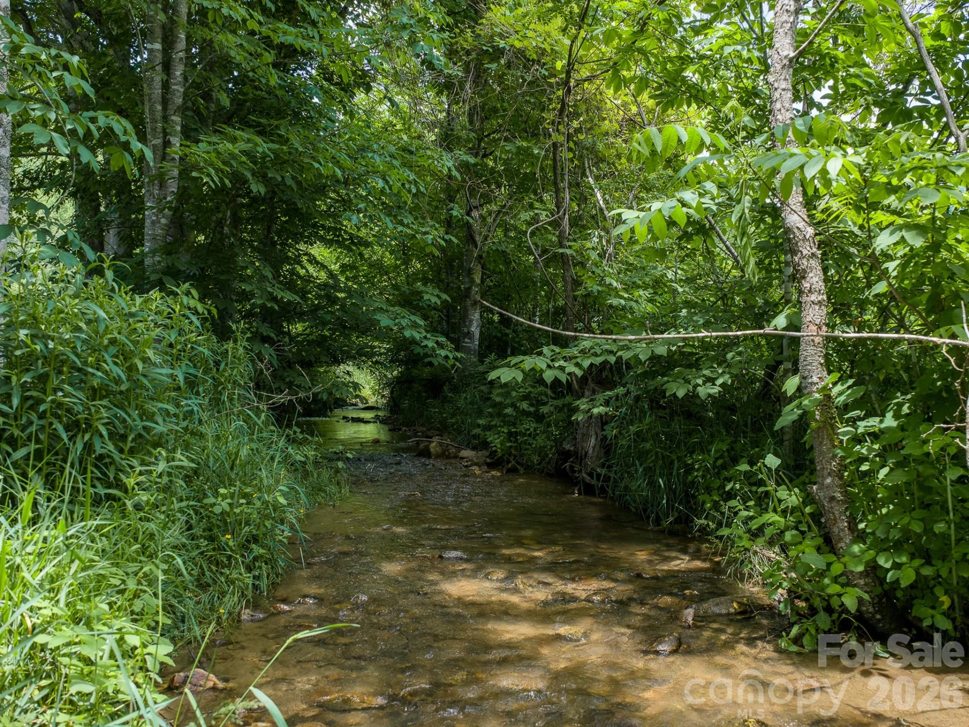 00 Sallys Branch Road - Photo 12