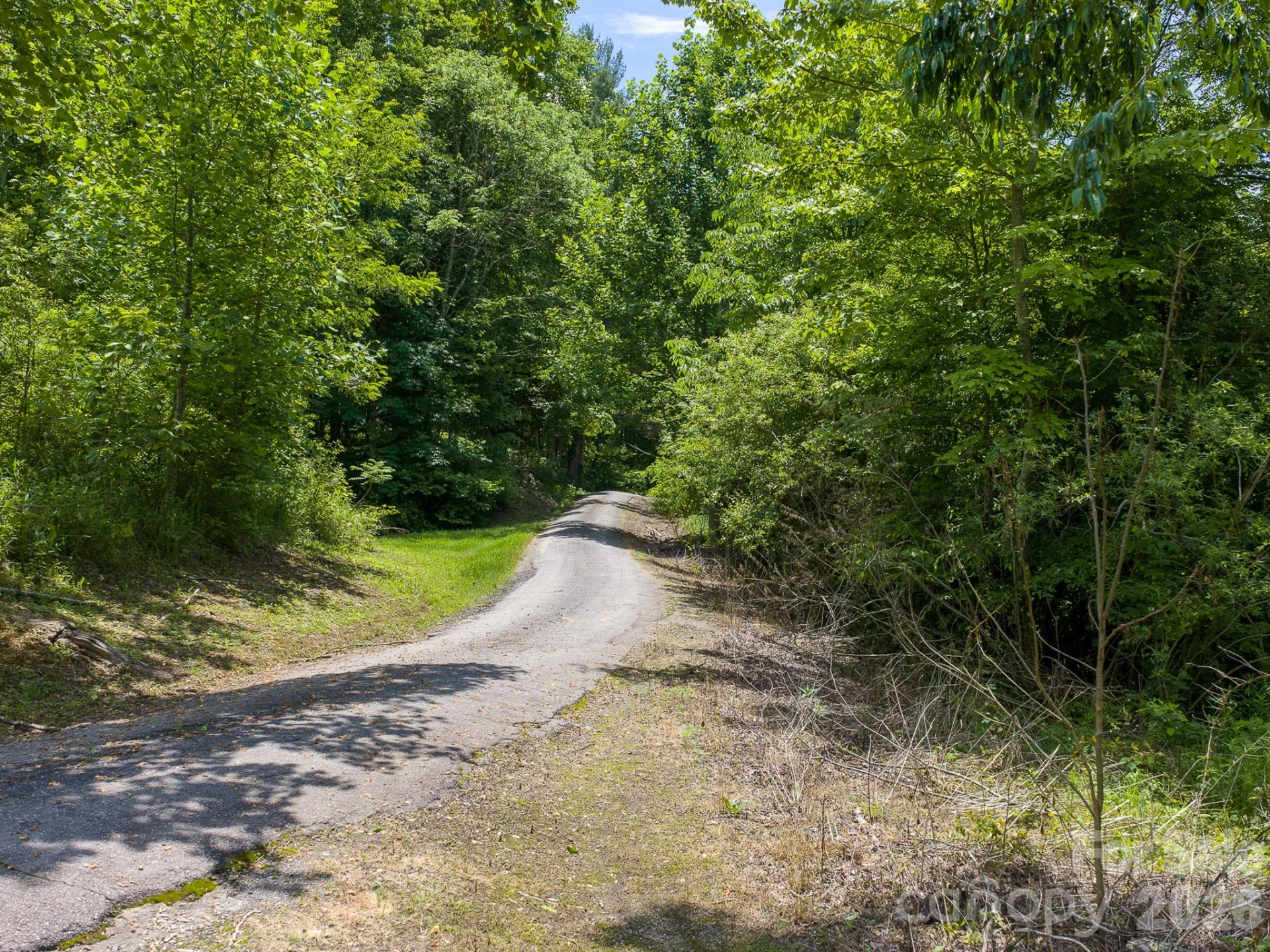 00 Sallys Branch Road - Photo 13