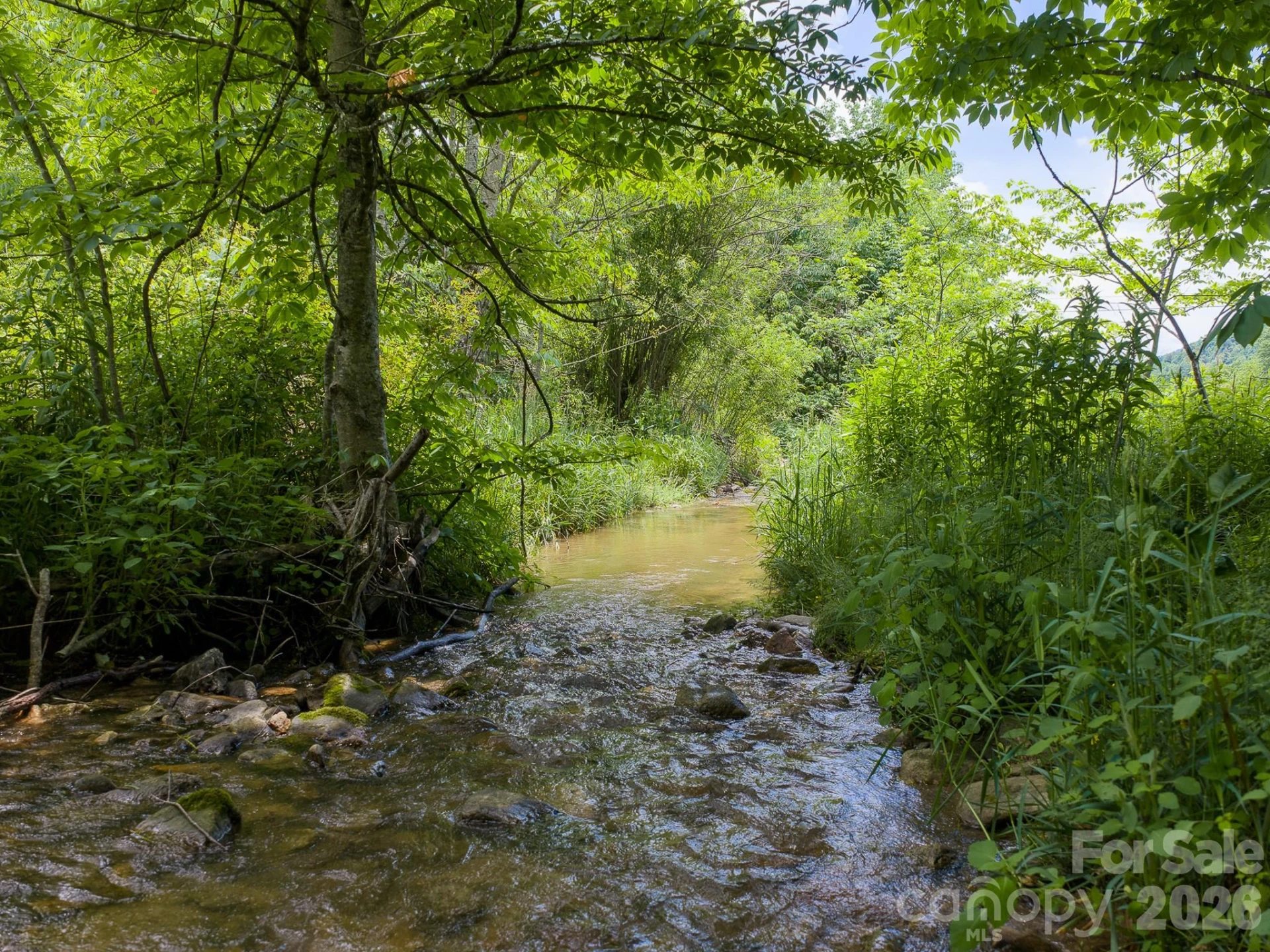 00 Sallys Branch Road - Photo 15
