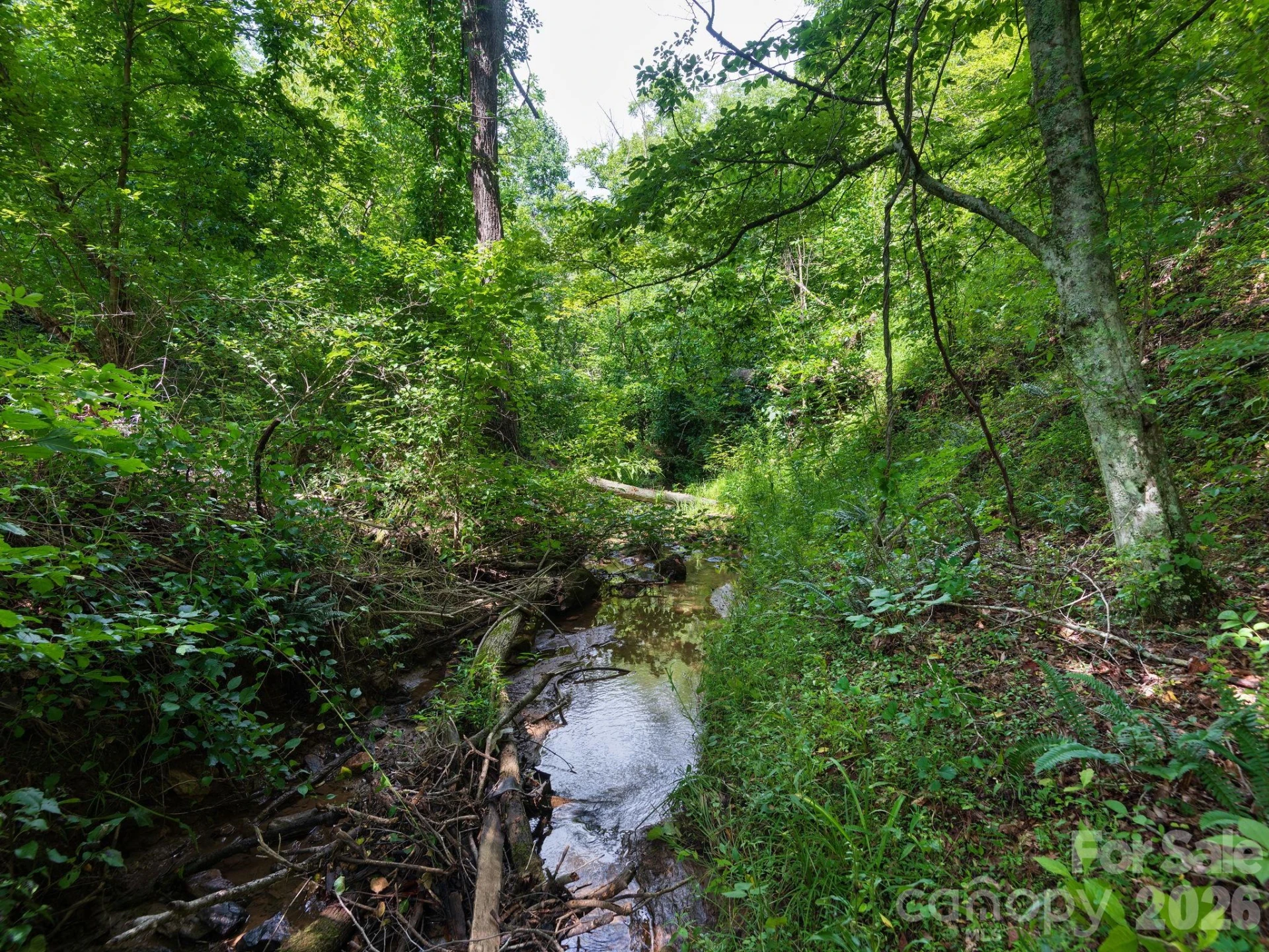 99999 Baileys Branch Road - Photo 5