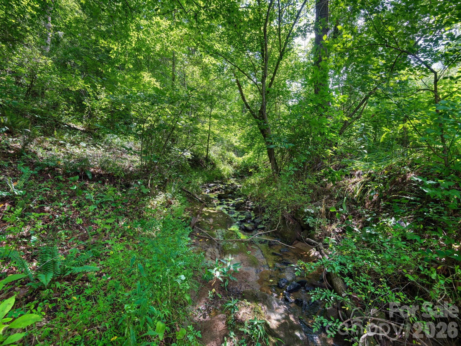 99999 Baileys Branch Road - Photo 9