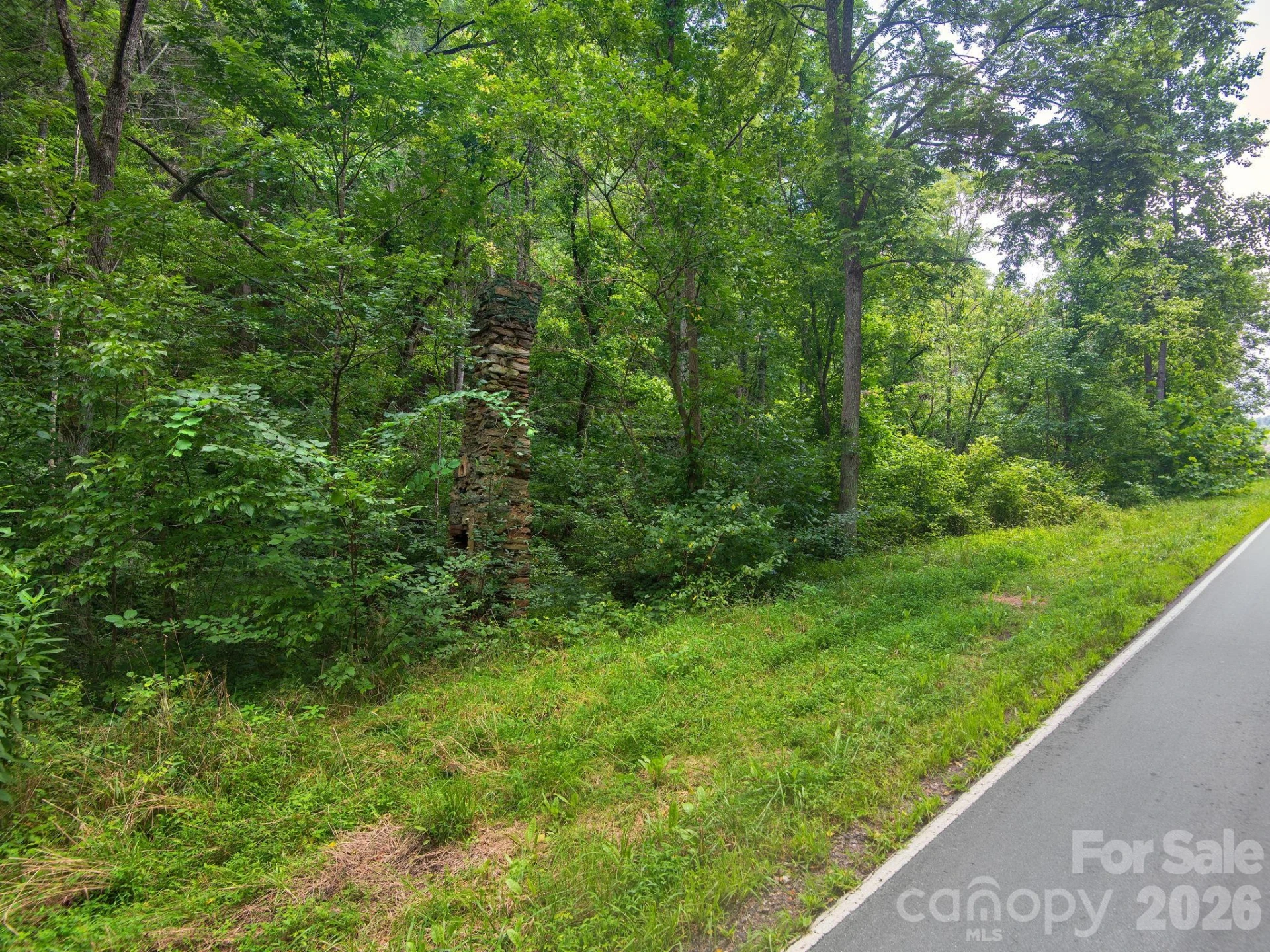 99999 Baileys Branch Road - Photo 19