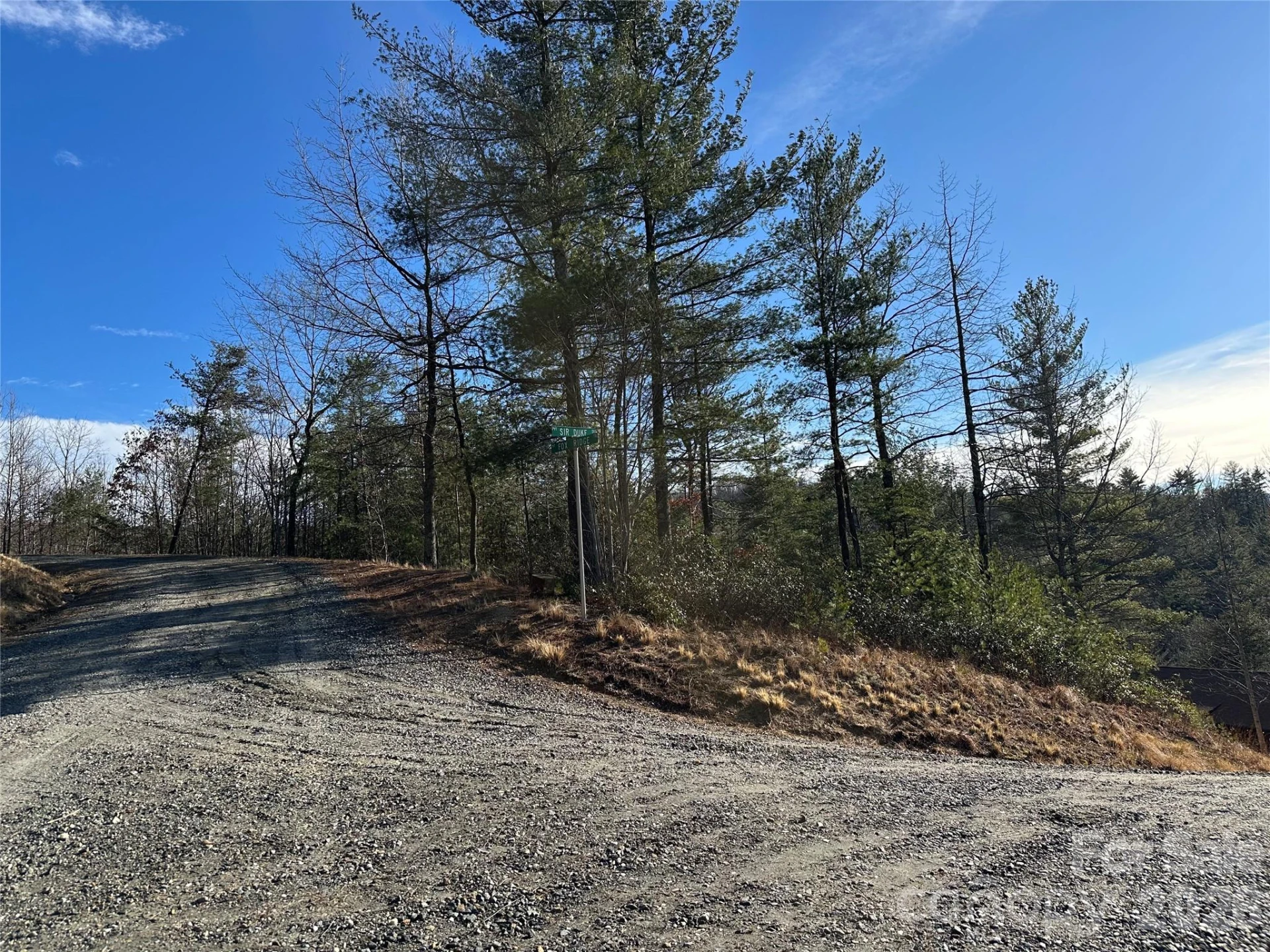 000 Fox Ridge Trail #57 - Photo 3