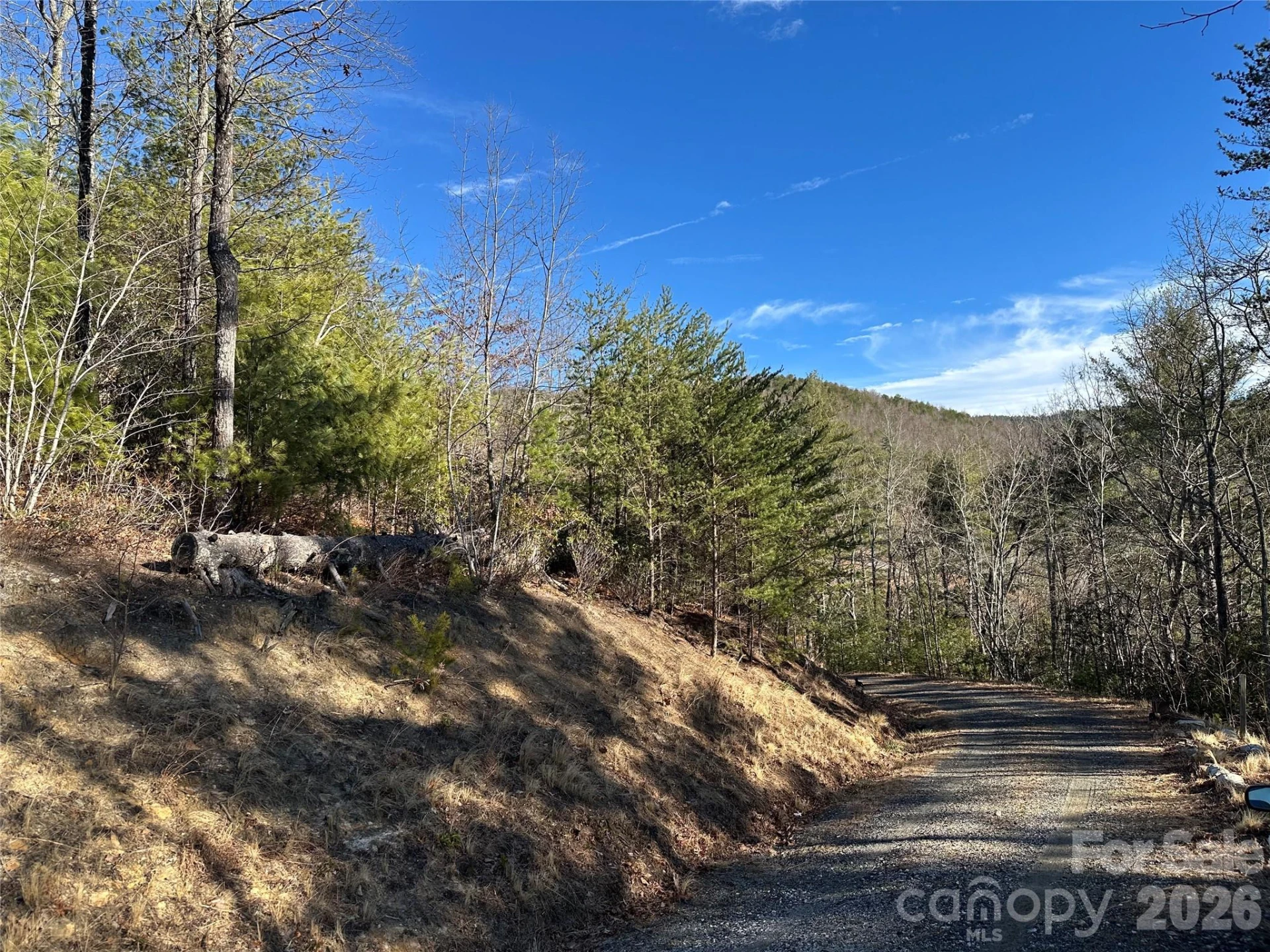000 Fox Ridge Trail #57 - Photo 5
