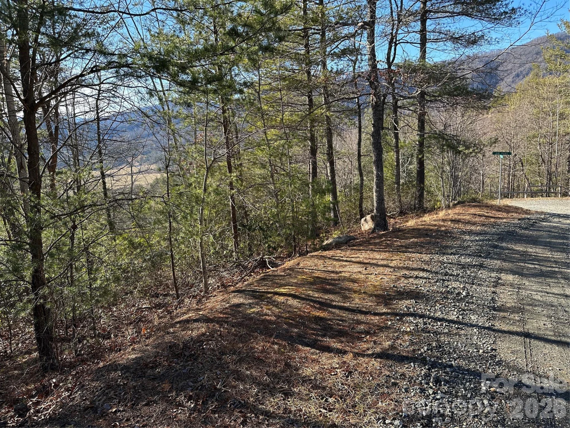 000 Fox Ridge Trail #57 - Photo 7