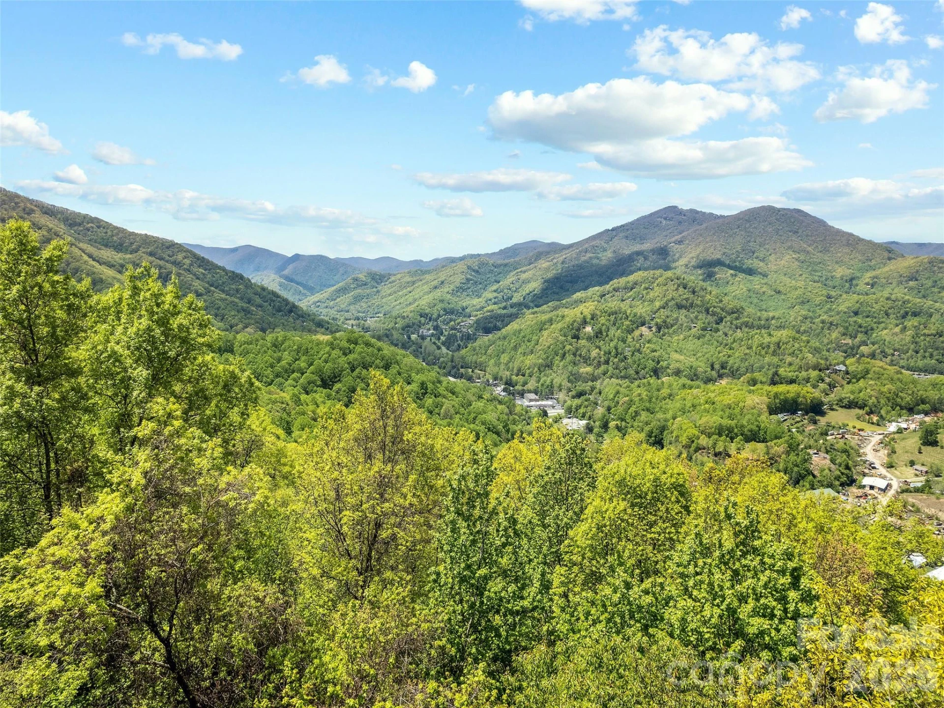 00 Locust Trail - Photo 12