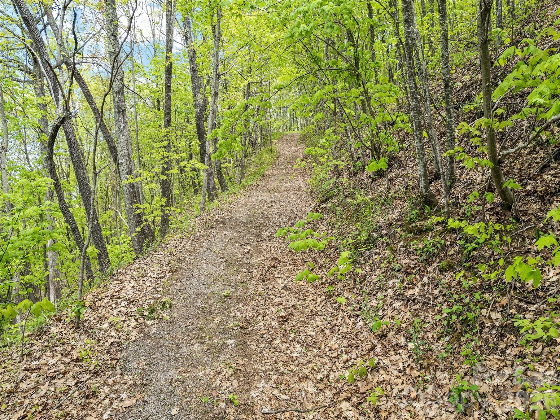 00 Locust Trail - Photo 16