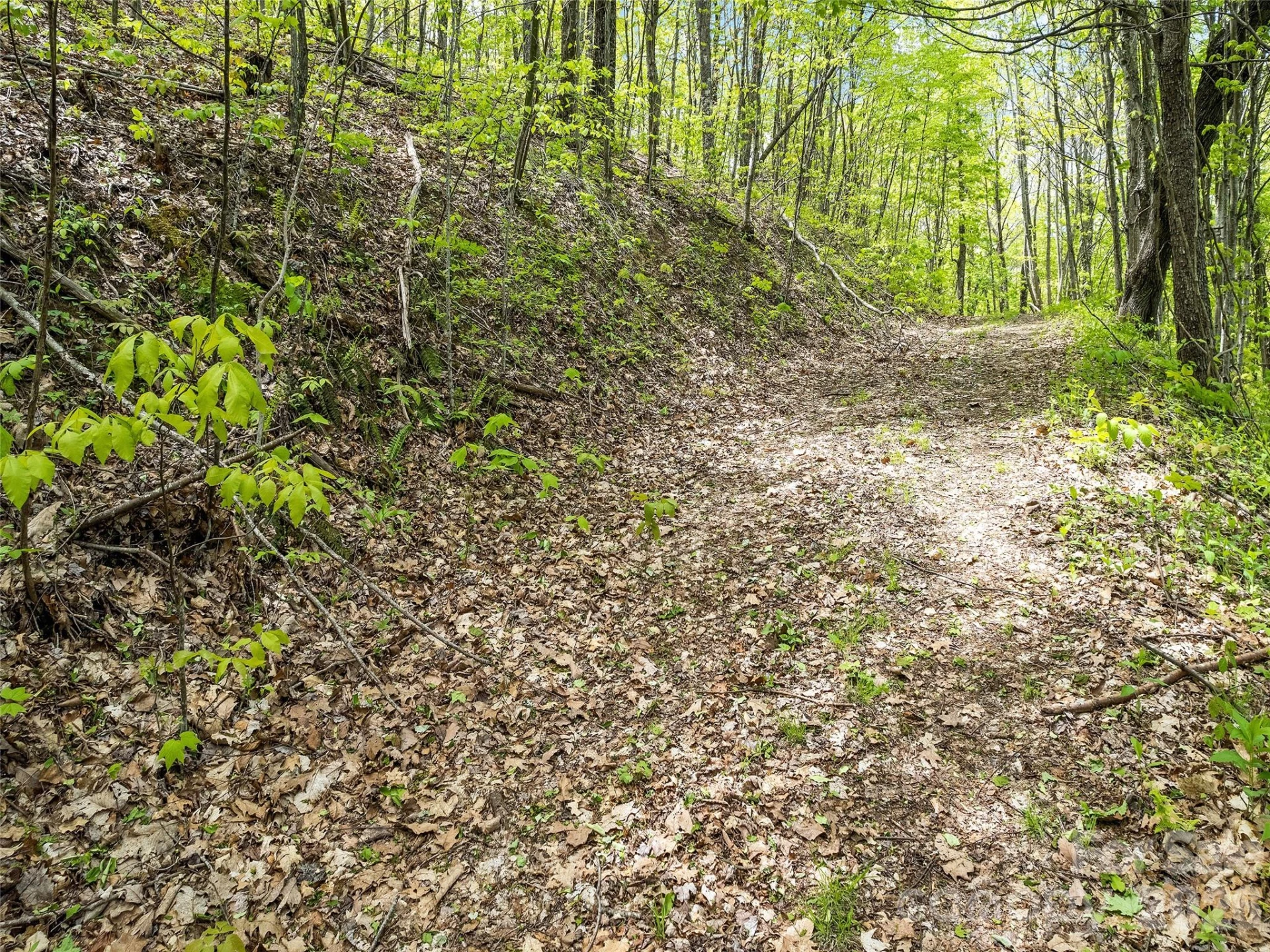 00 Locust Trail - Photo 17
