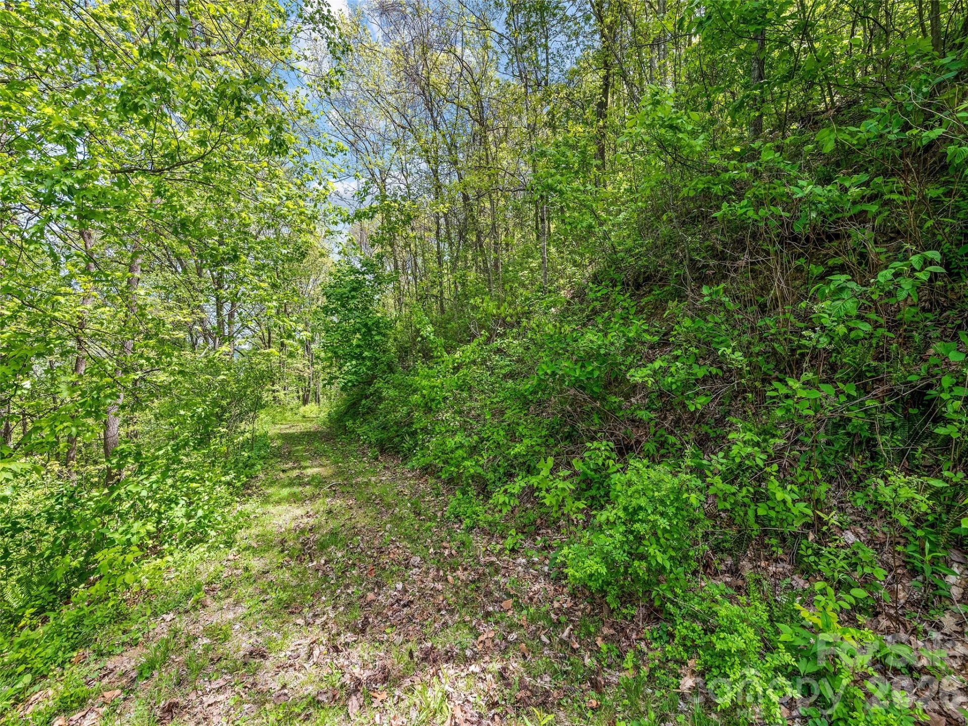 00 Locust Trail - Photo 21