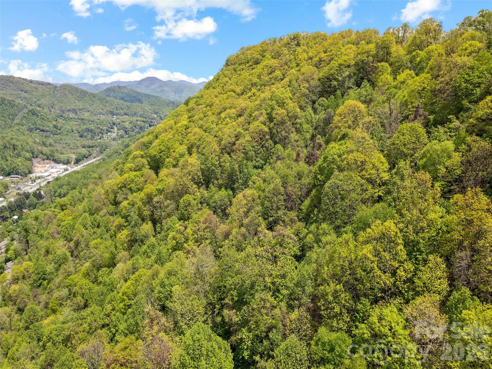 00 Locust Trail - Photo 5
