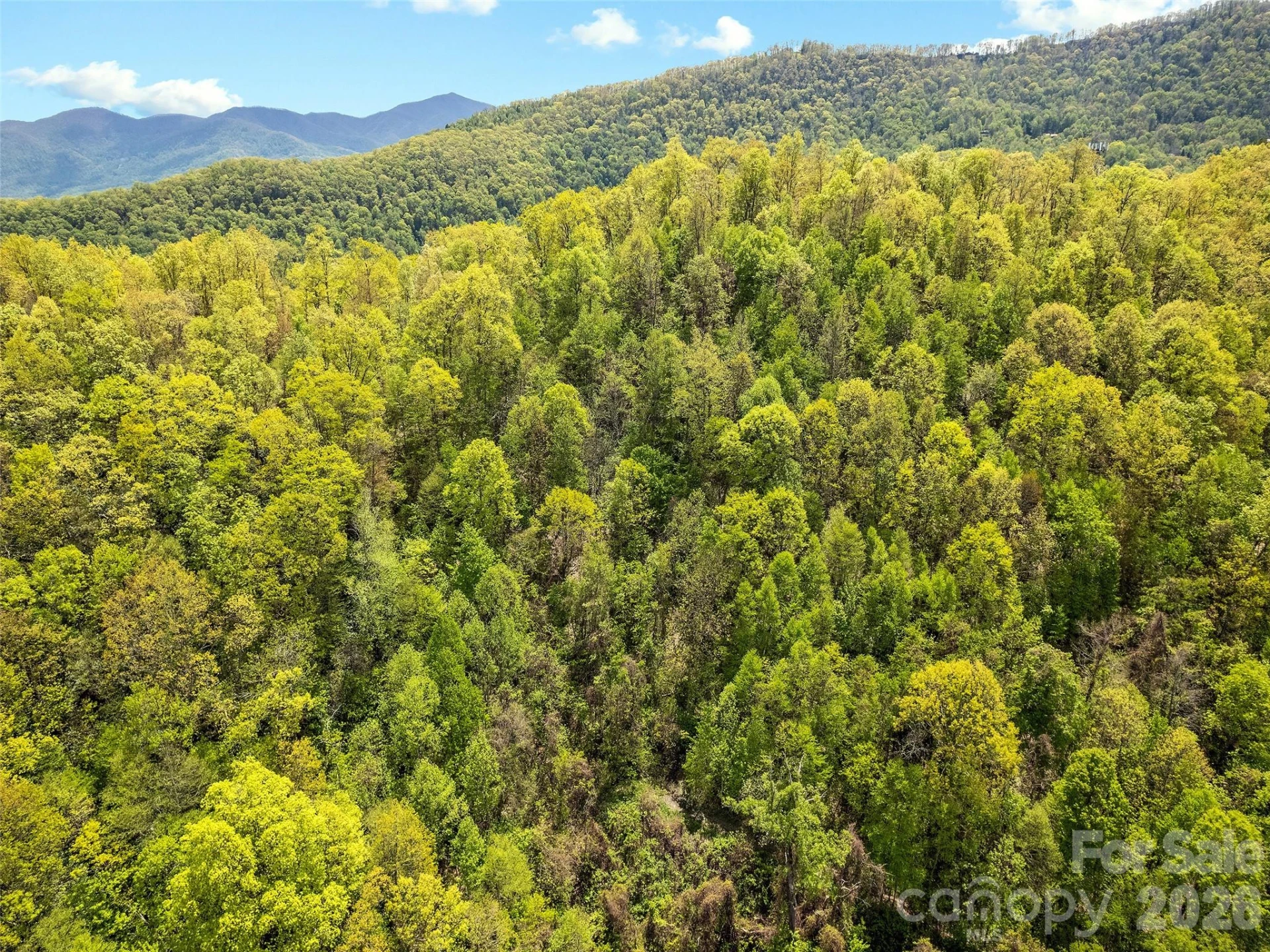 00 Locust Trail - Photo 7