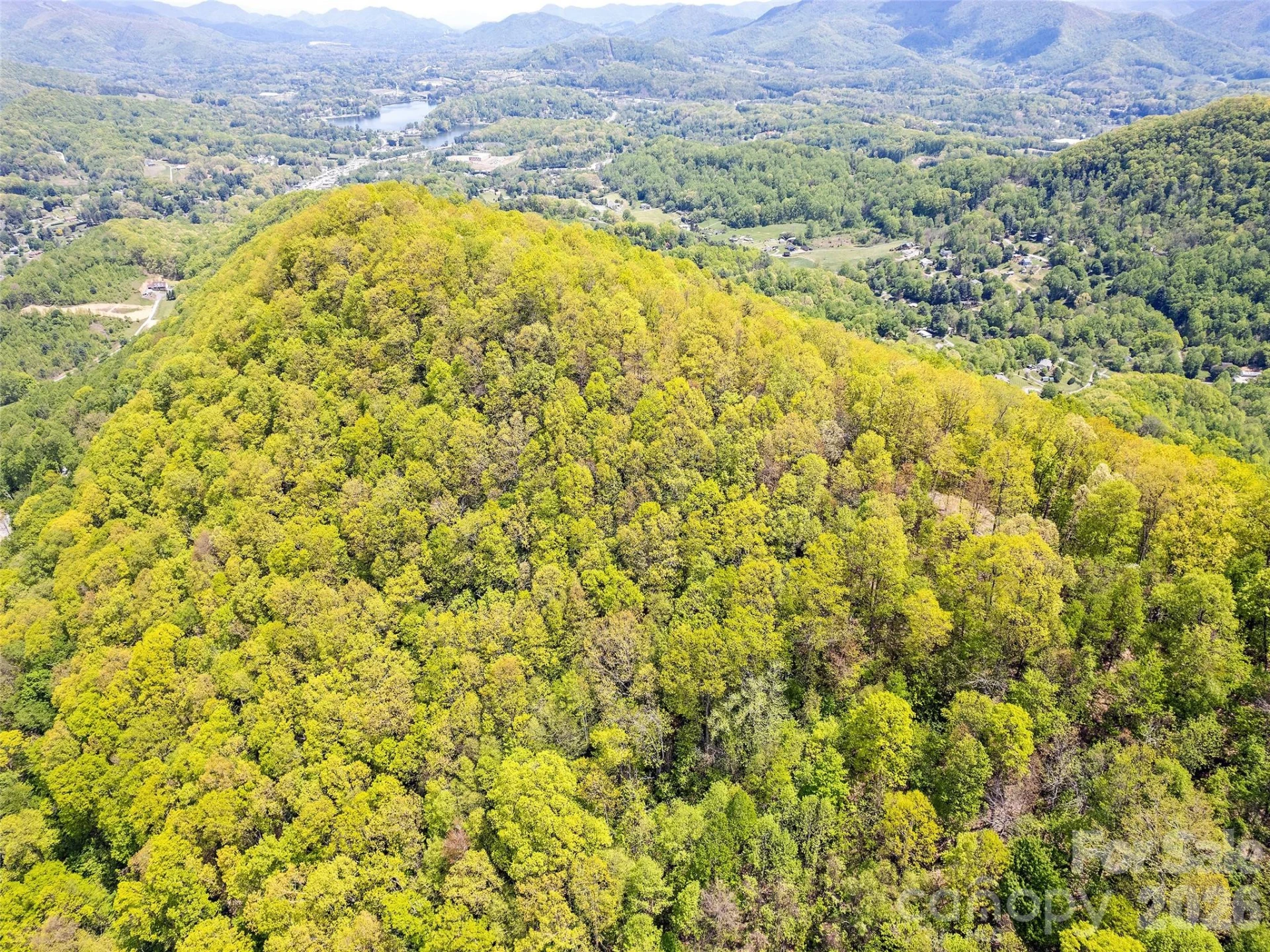 00 Locust Trail - Photo 8