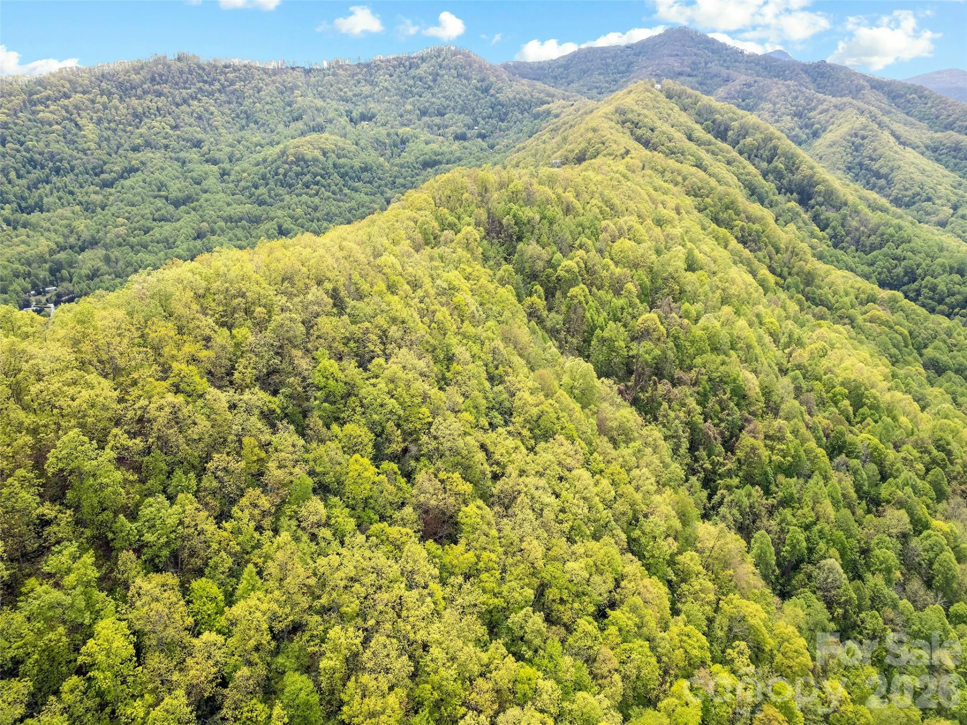 00 Locust Trail - Photo 10