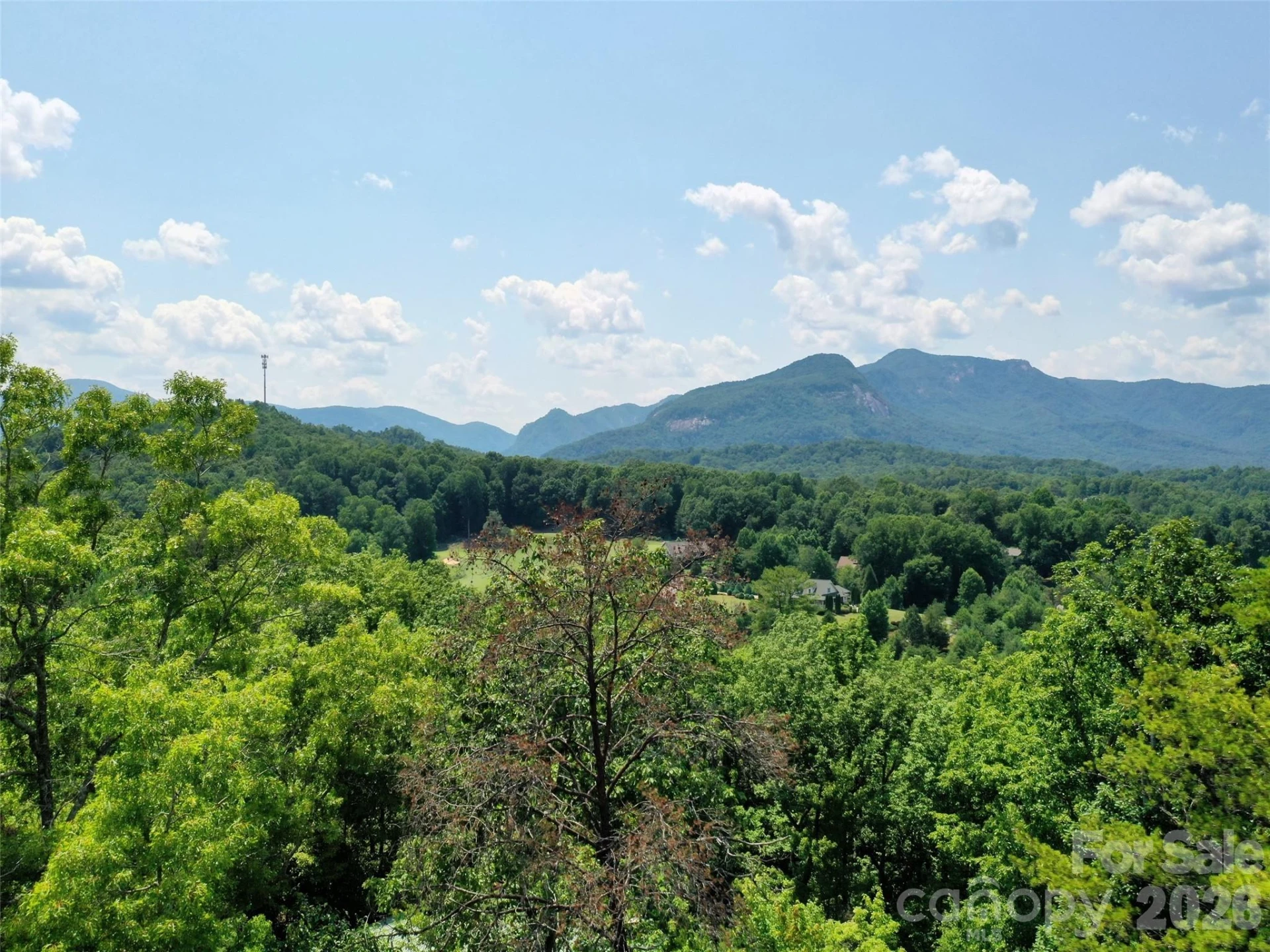 0 Buffalo Creek Road #Lot 35 - Photo 16