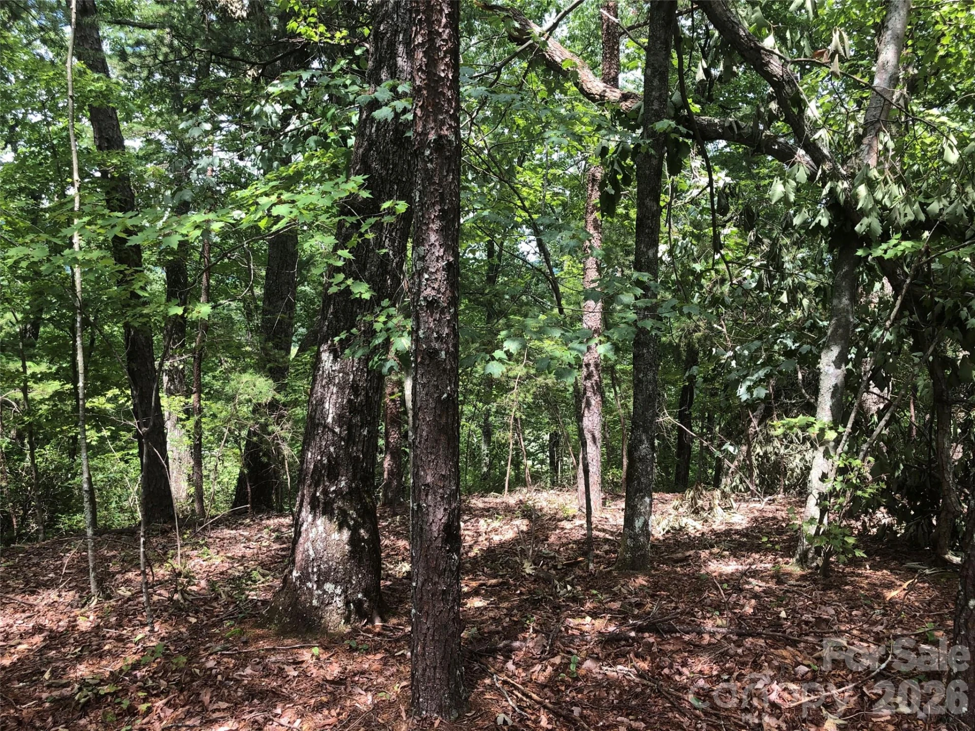 0 Buffalo Creek Road #Lot 35 - Photo 5