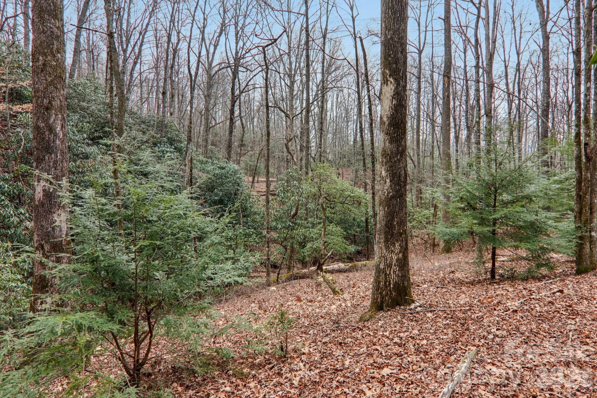 71 N Setsi Lane - Photo 35