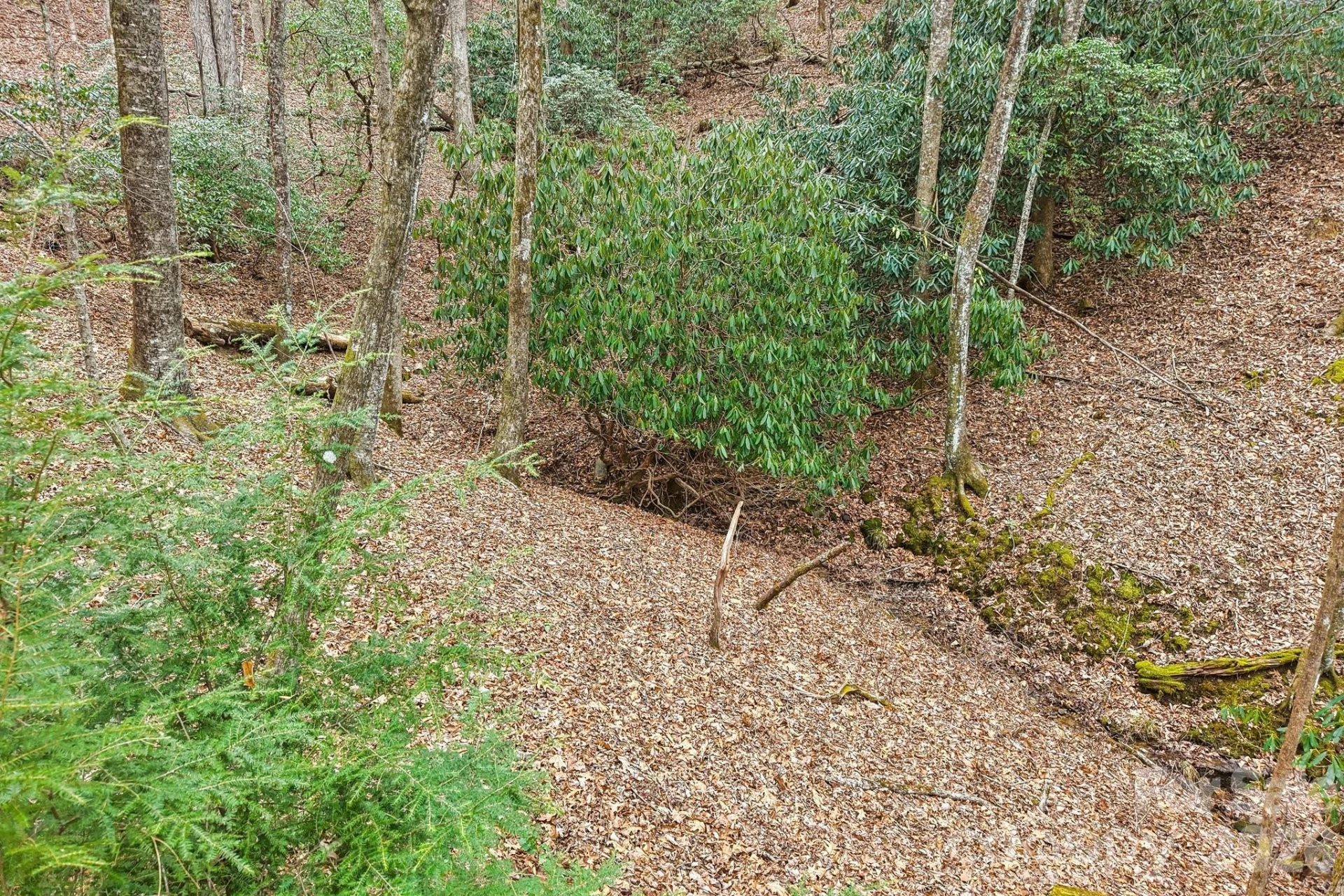 71 N Setsi Lane - Photo 36