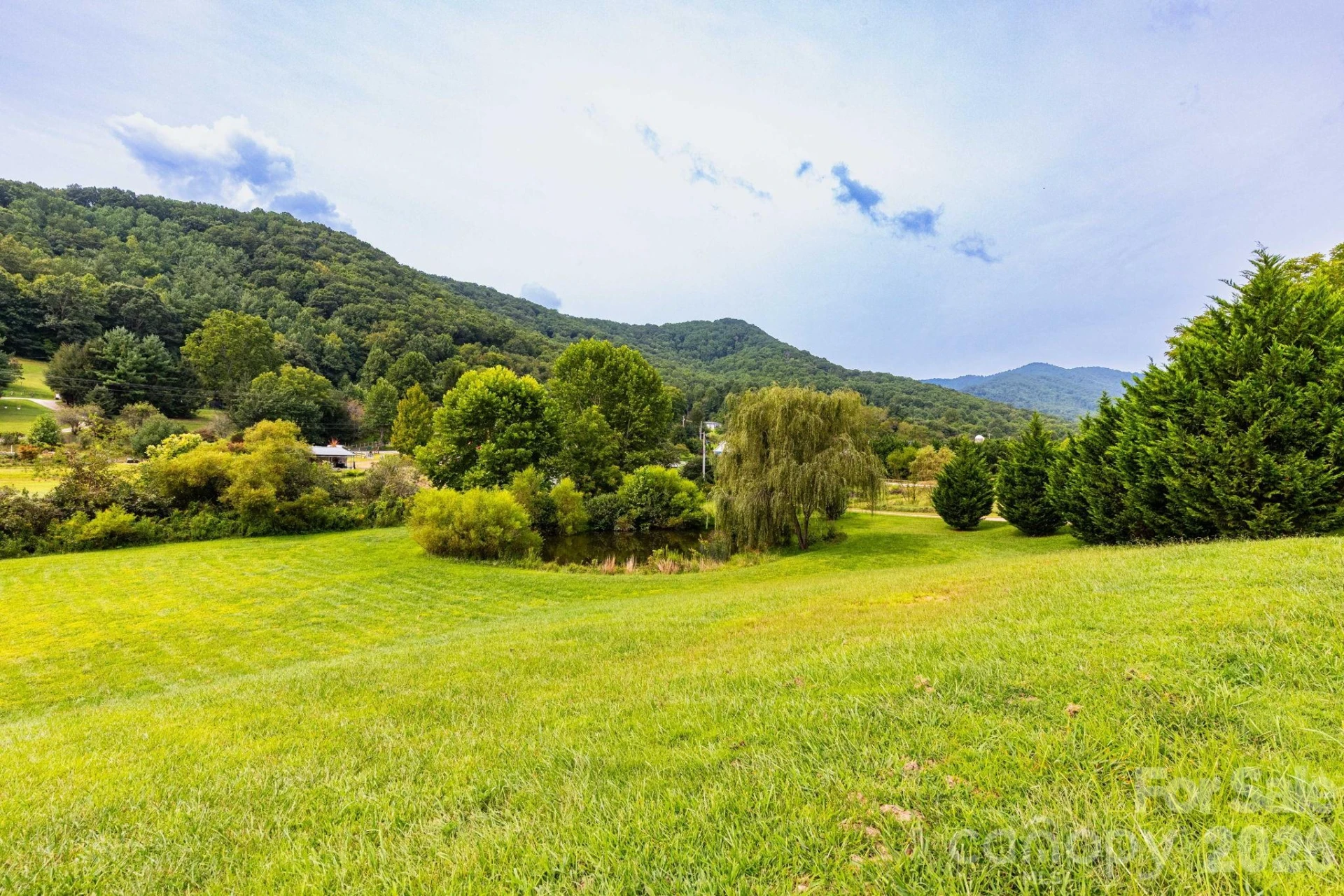 18 Hoye Lane - Photo 4