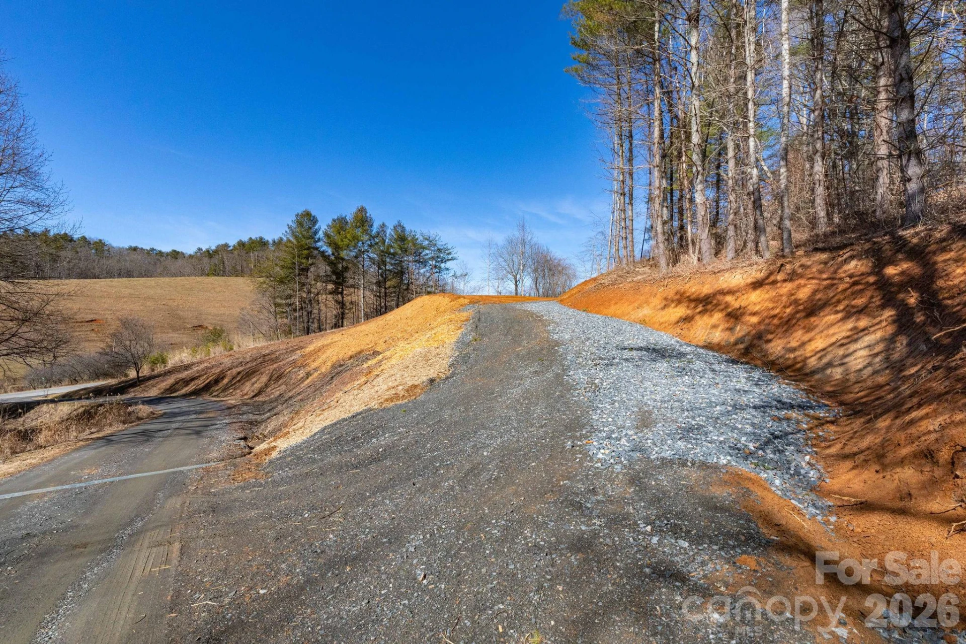 TBD Kelly Hunter Road - Photo 17