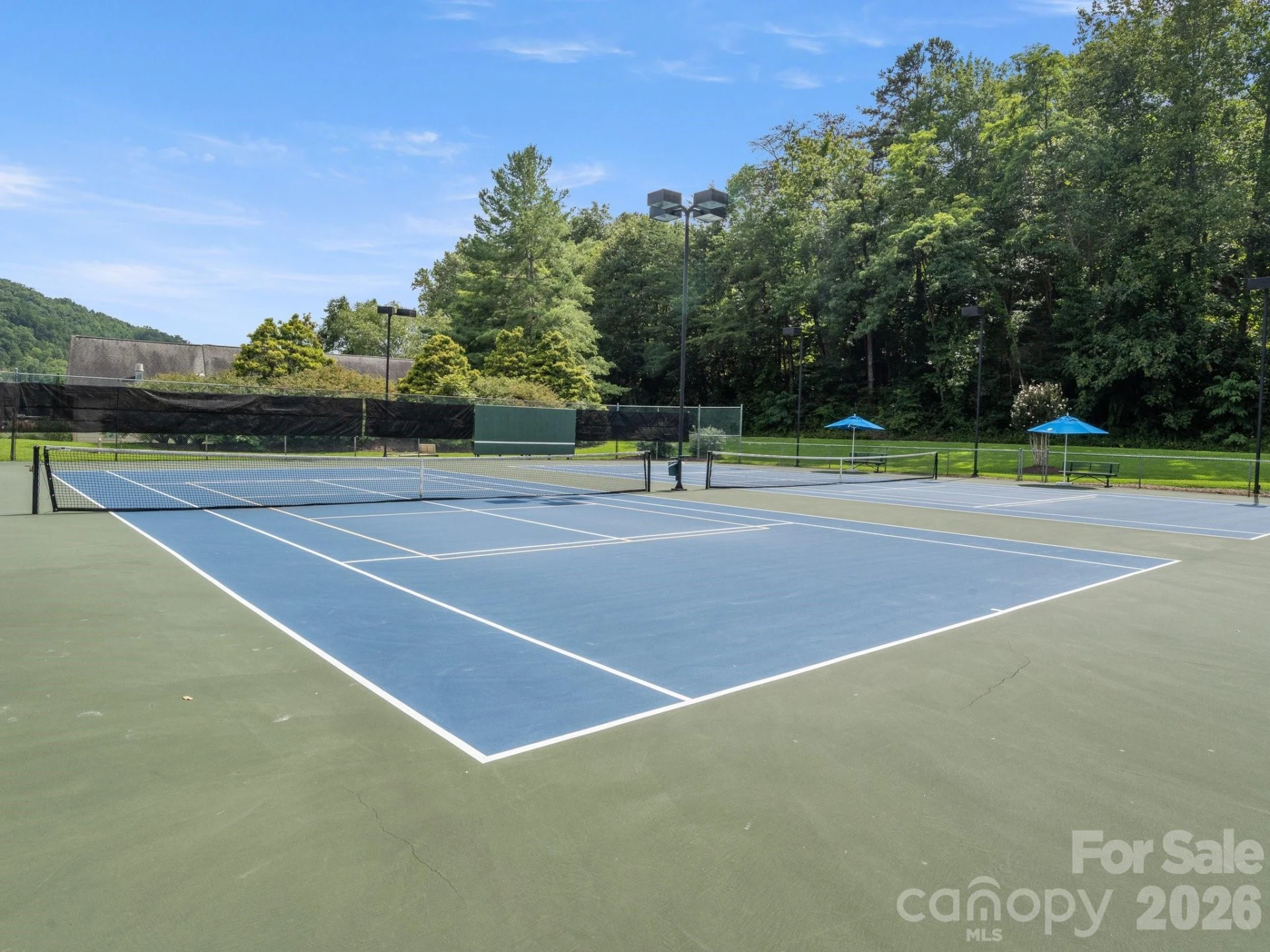 189 Cameron Lane - Photo 40