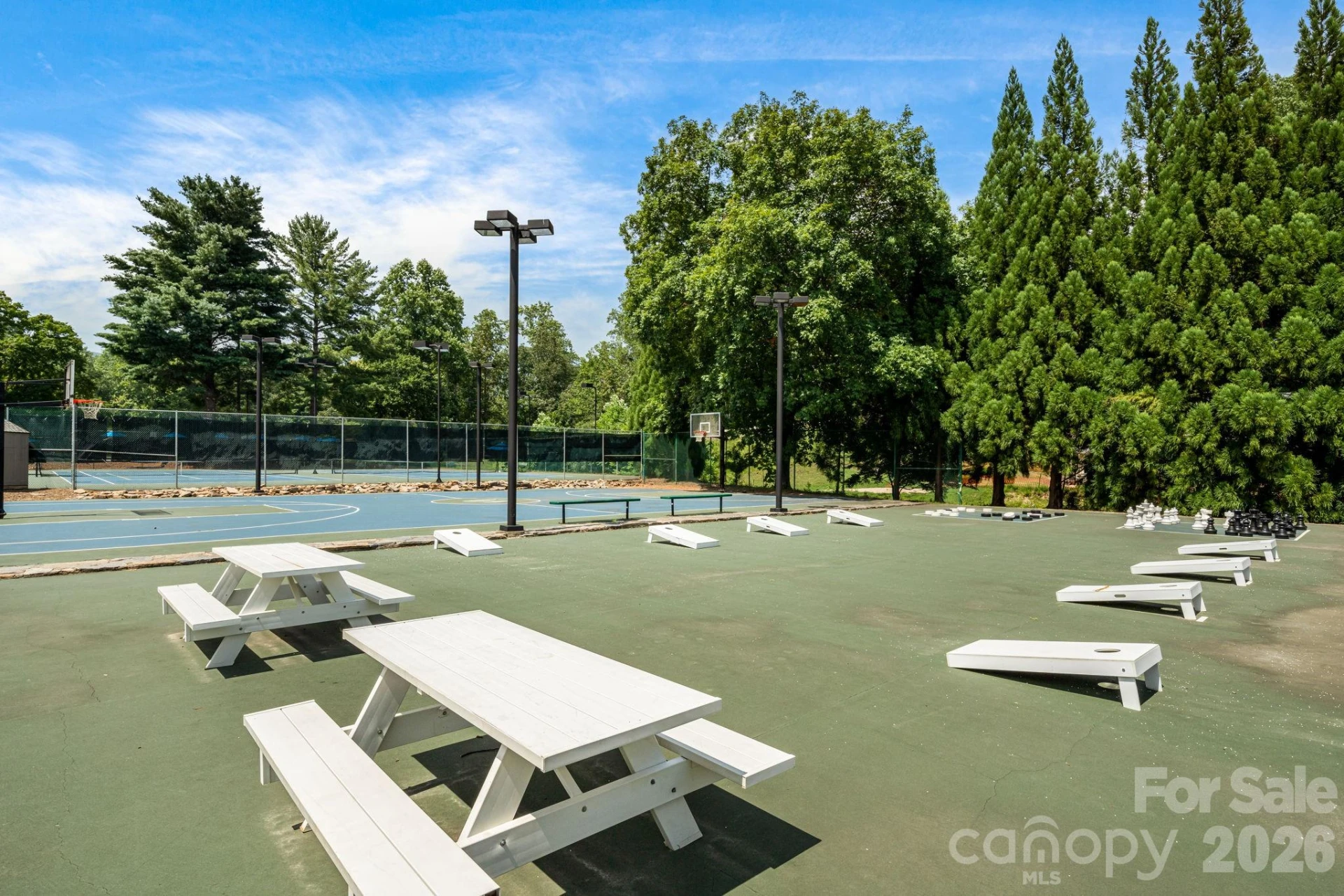 189 Cameron Lane - Photo 47