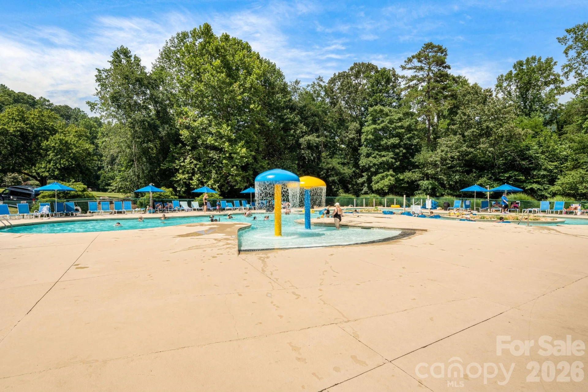 189 Cameron Lane - Photo 48