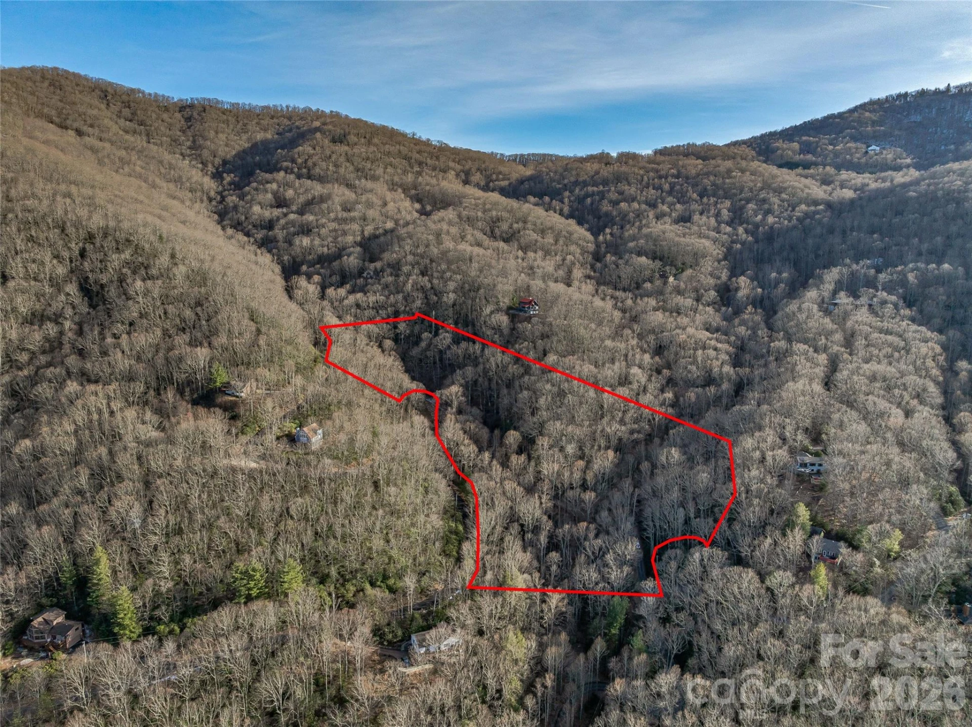 119 Wildflower Cove Drive - Photo 3