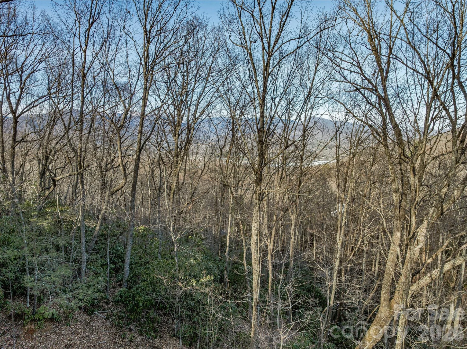 119 Wildflower Cove Drive - Photo 21