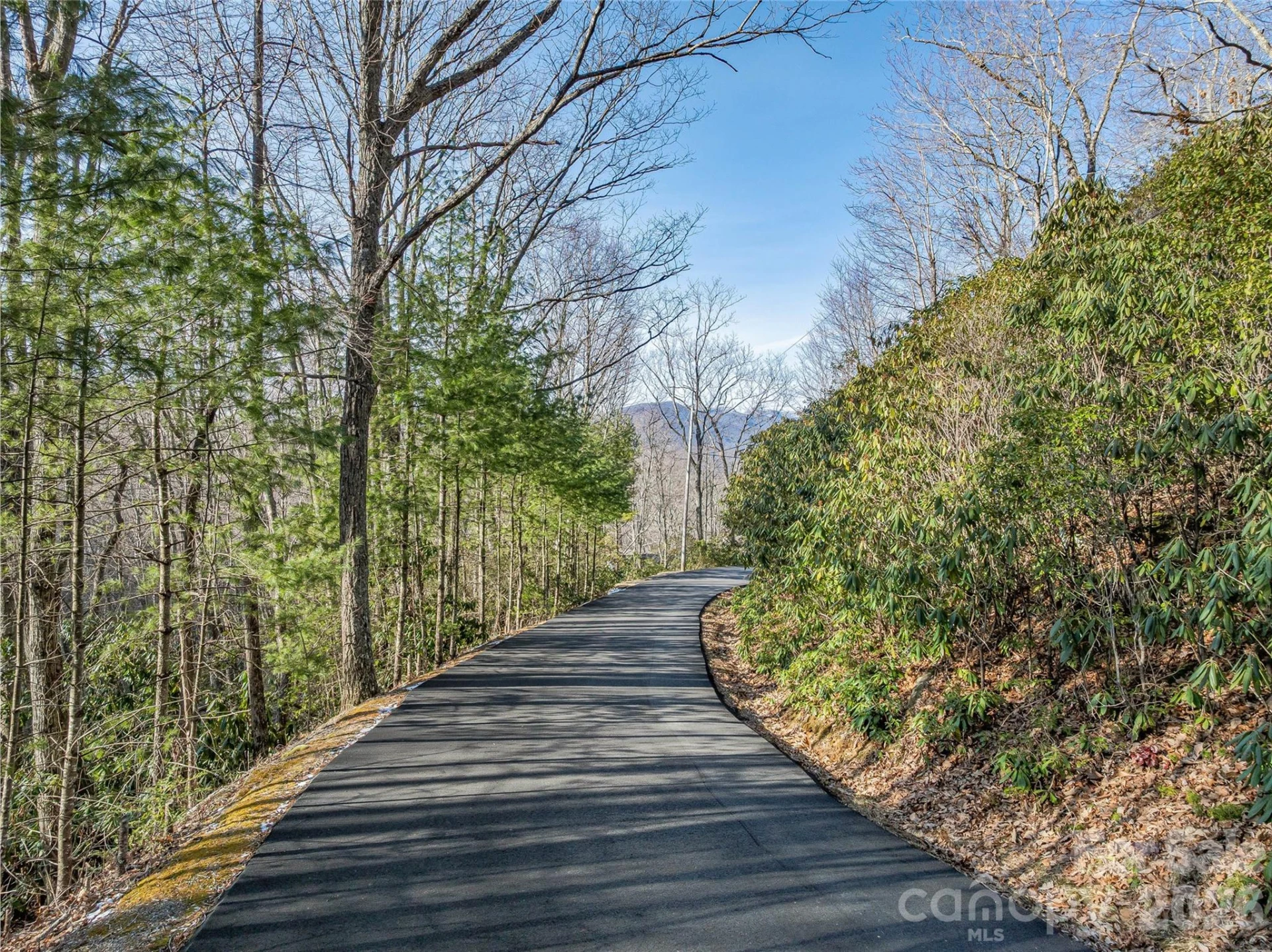 119 Wildflower Cove Drive - Photo 41