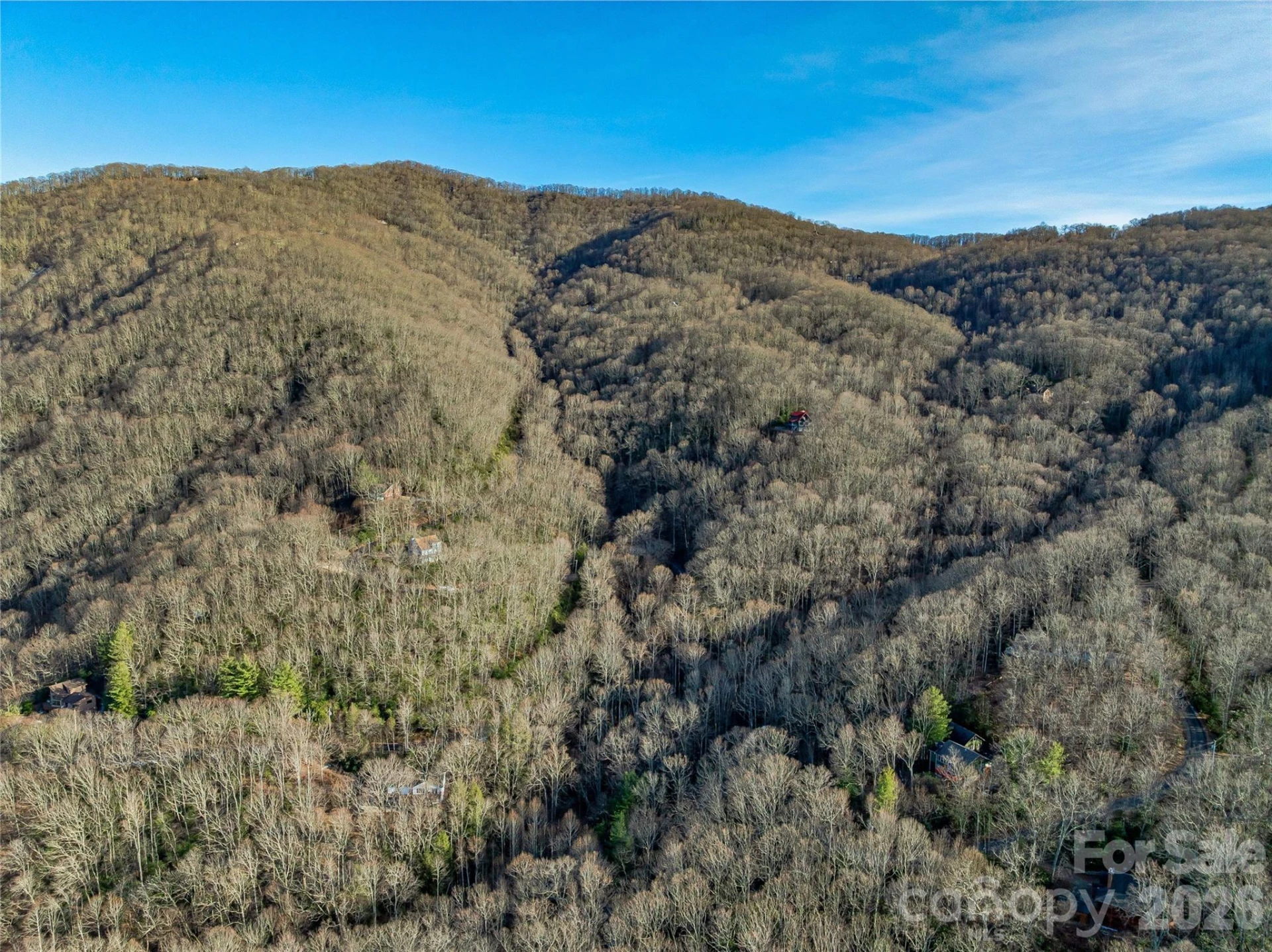 119 Wildflower Cove Drive - Photo 44