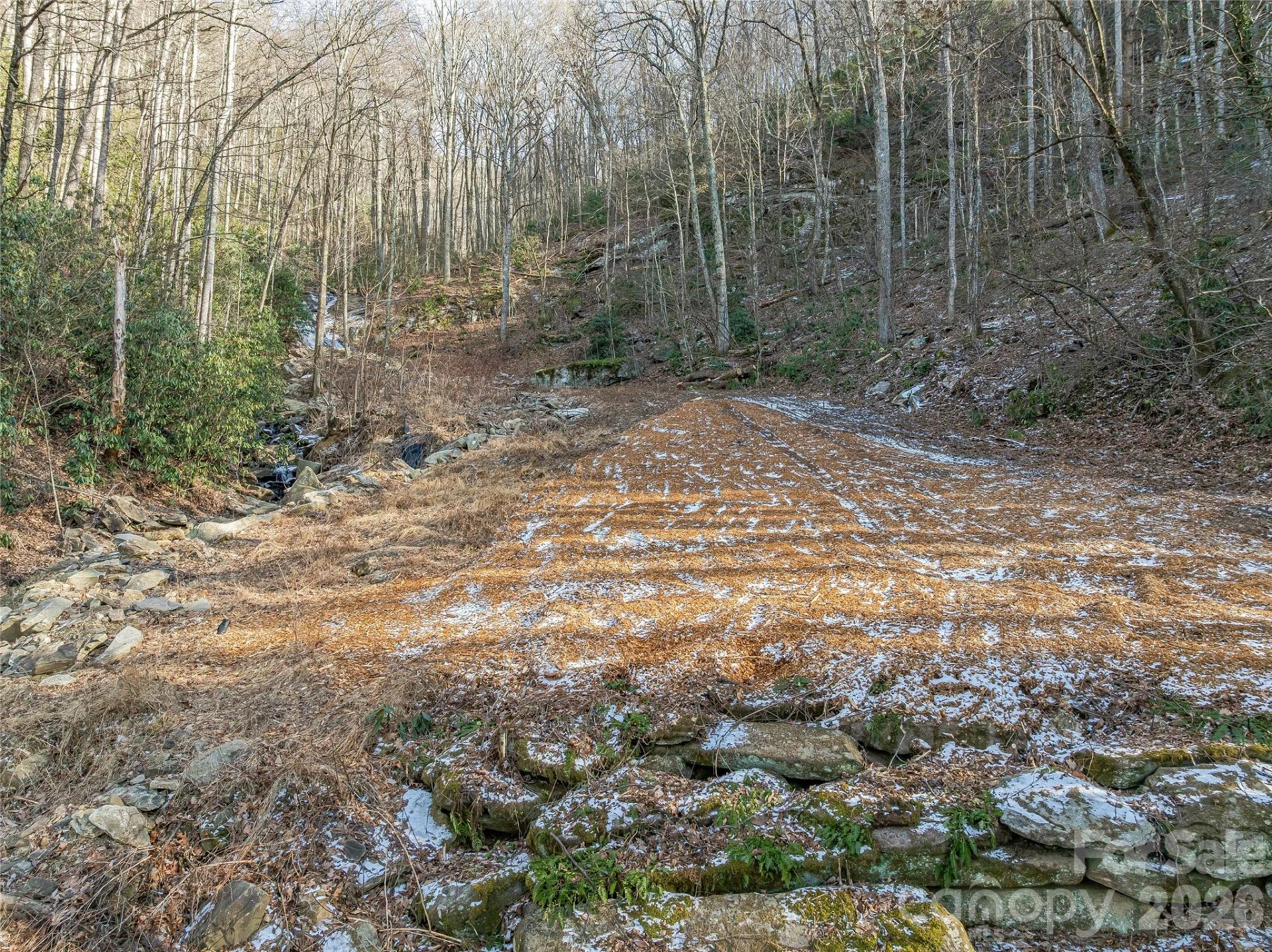 119 Wildflower Cove Drive - Photo 7