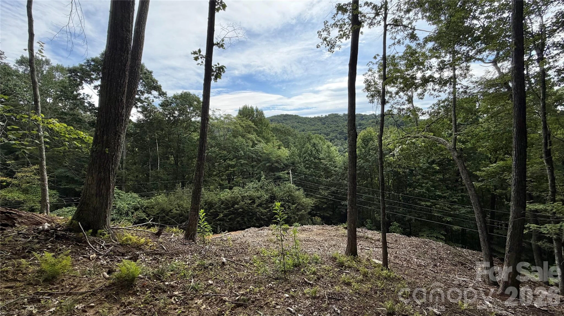 000 Fox Den Road #109 - Photo 6