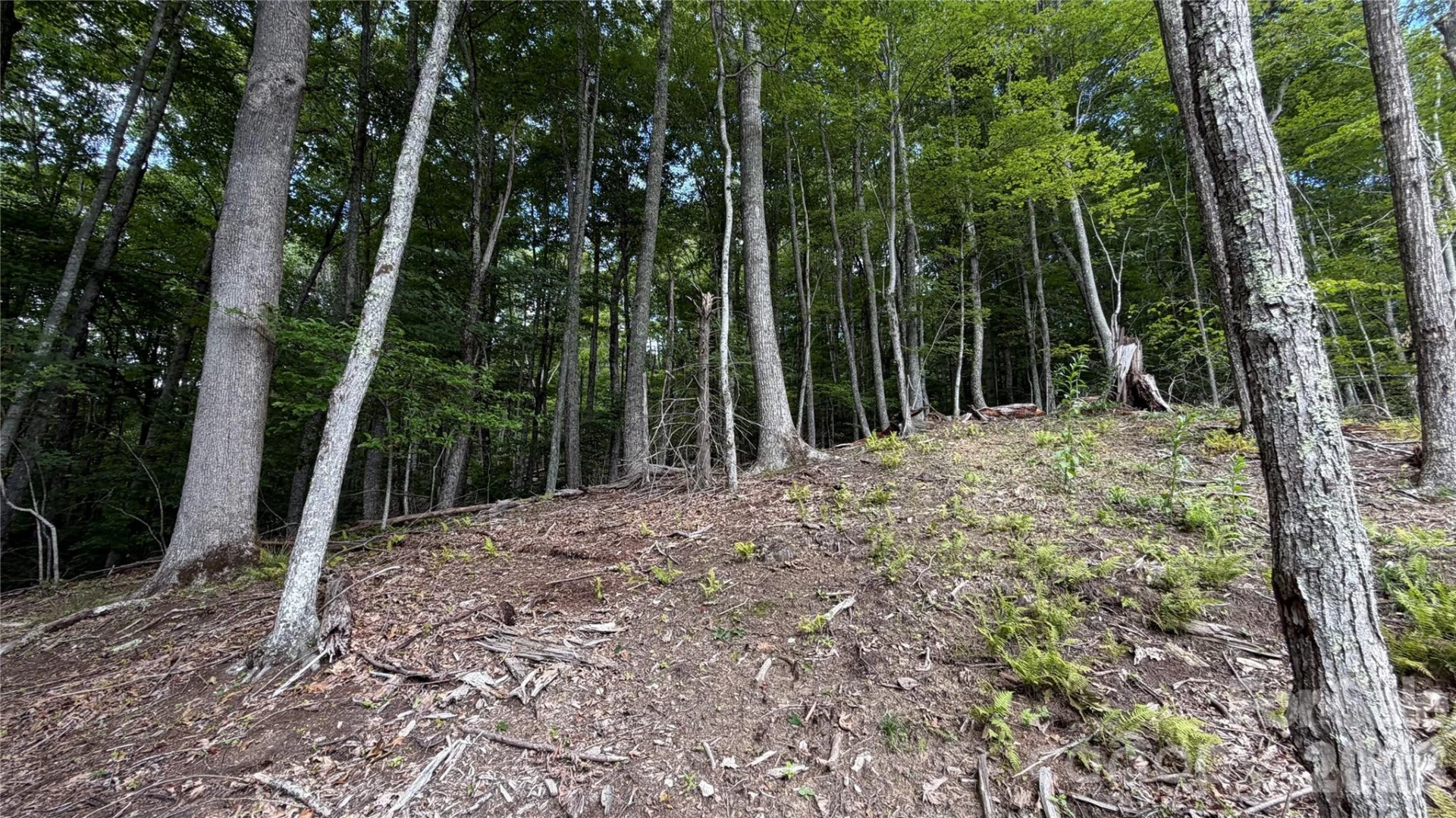 000 Fox Den Road #109 - Photo 8