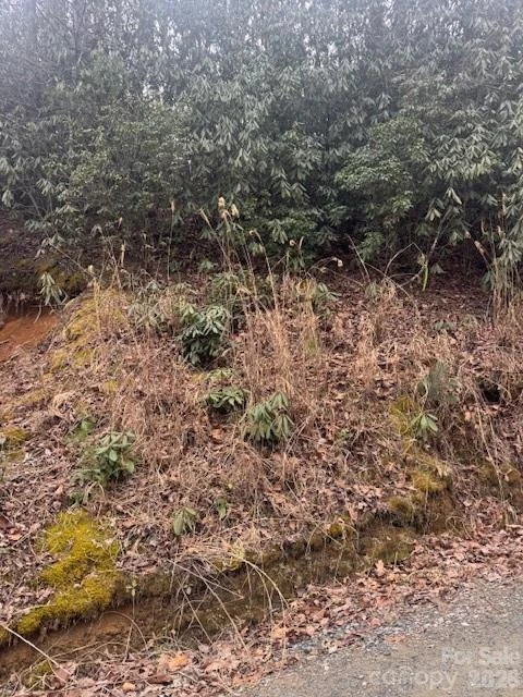 0 Benton Drive - Photo 2