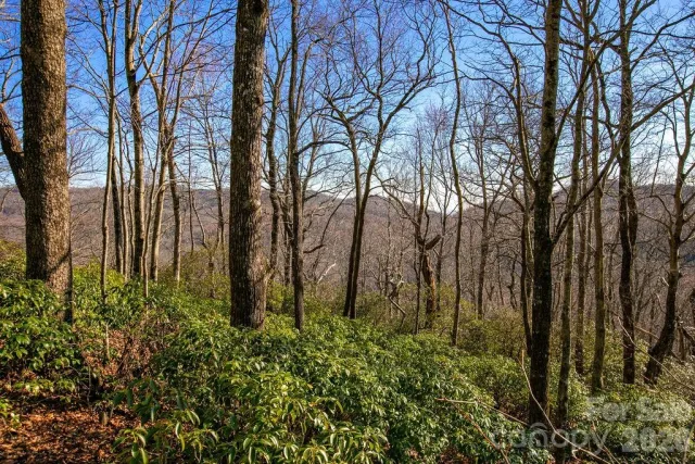 TBD Oak Ridge Road, Rosman, NC, 28772